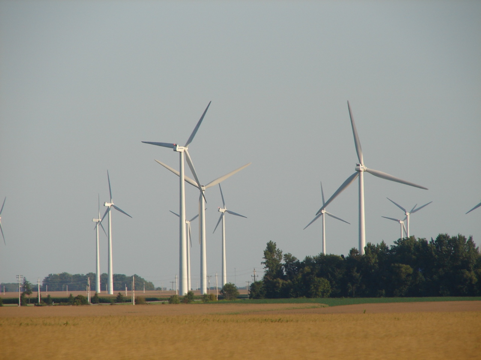 Wind farm photo