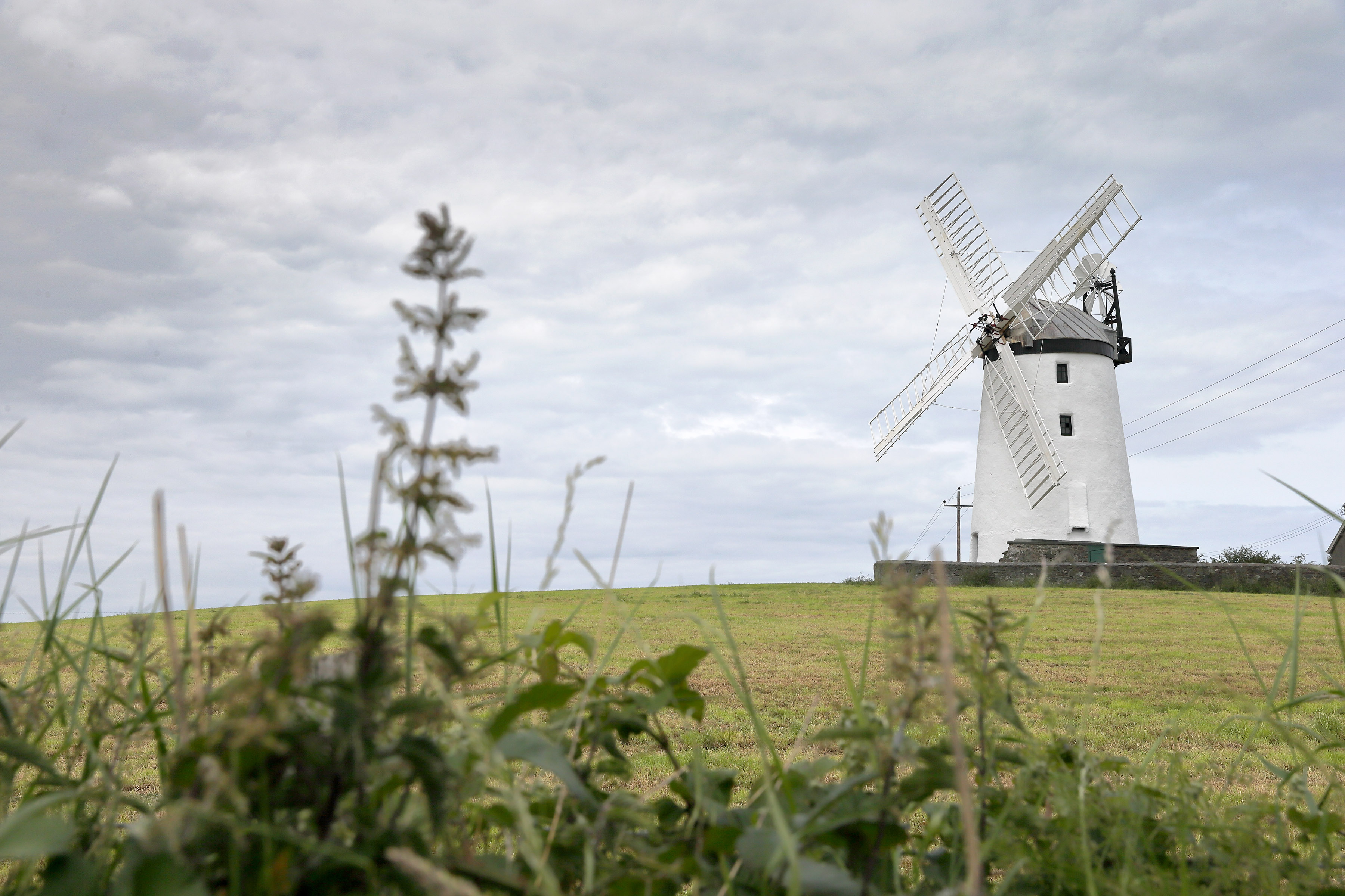 Ballycopeland Windmill | Visit Ards and North Down | Visit Ards and ...