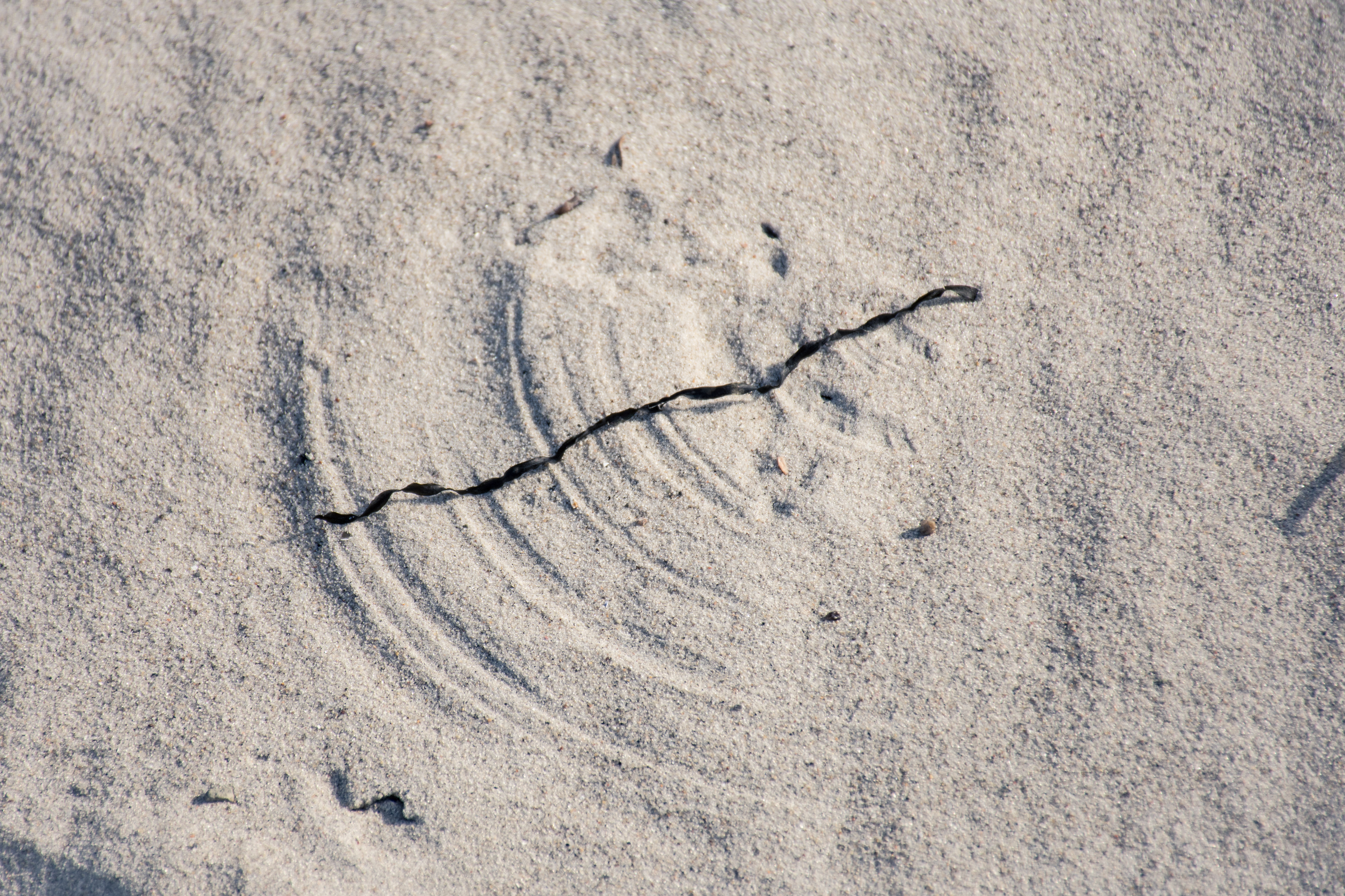 Wind Traces on the Beach, Baltic, Beach, Nature, Print, HQ Photo