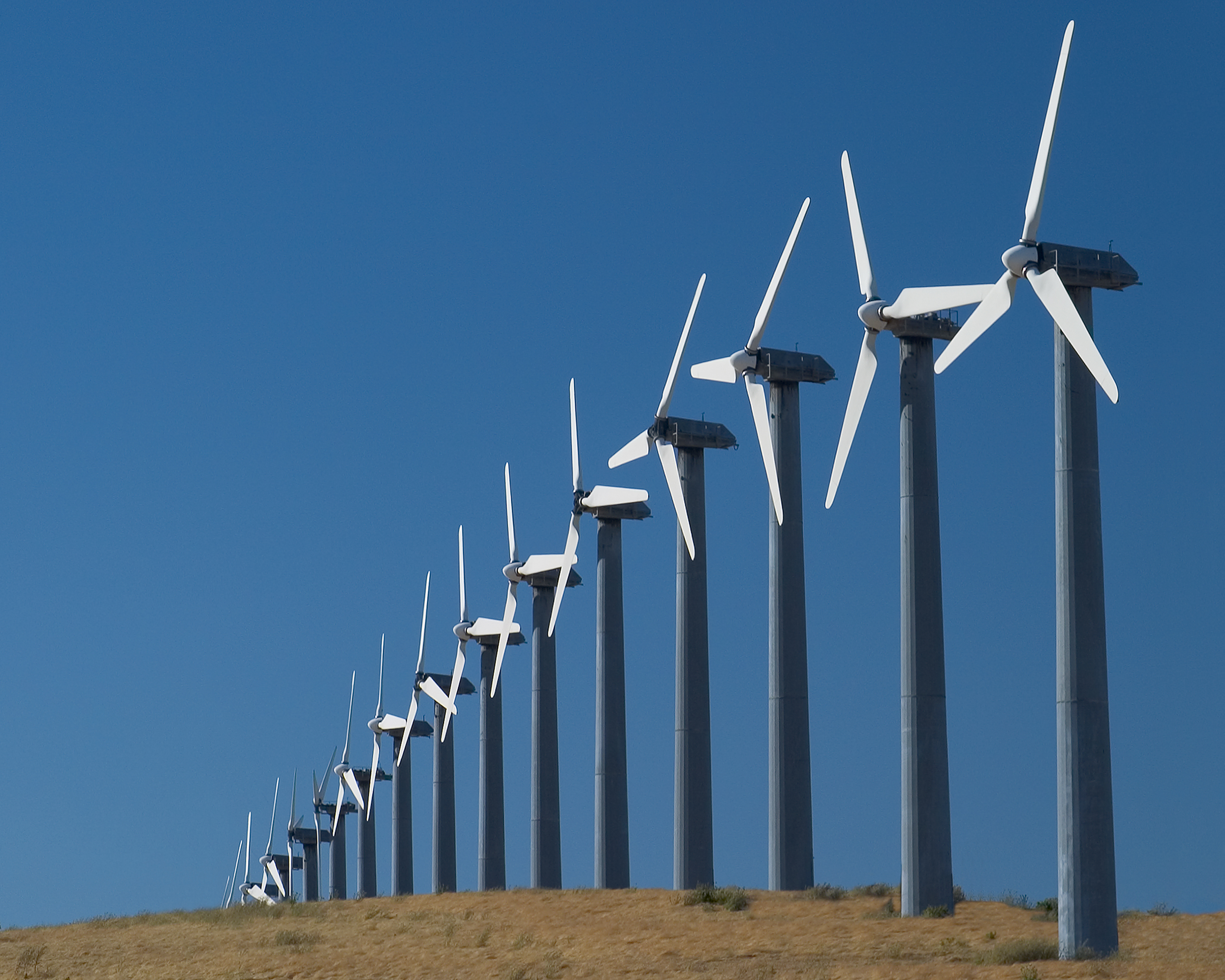 Wind Turbines Reduce the Productivity of Surrounding Vegetation - IER
