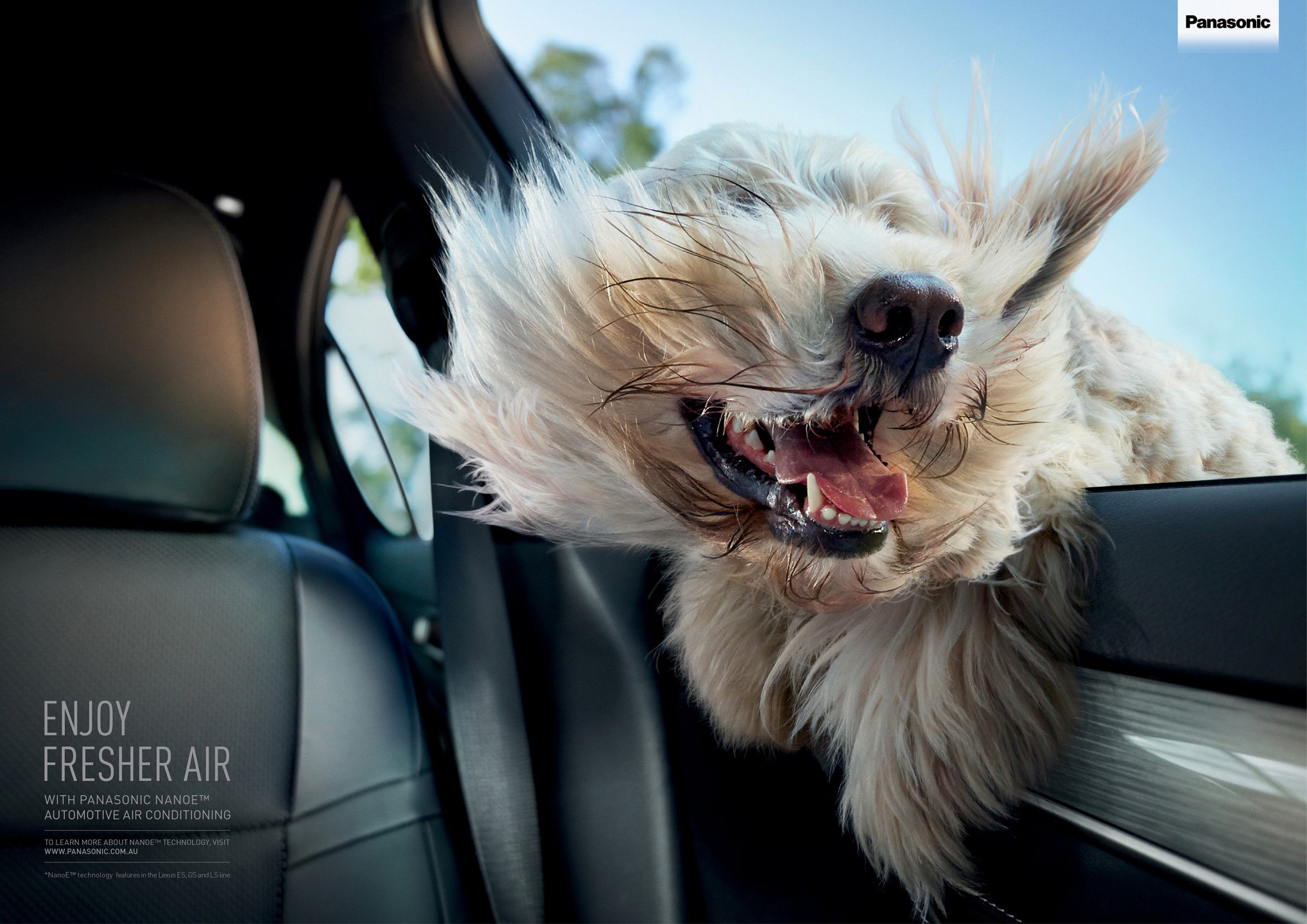 Panasonic Outdoor Advert By Saatchi & Saatchi: Windblown dog | Ads ...