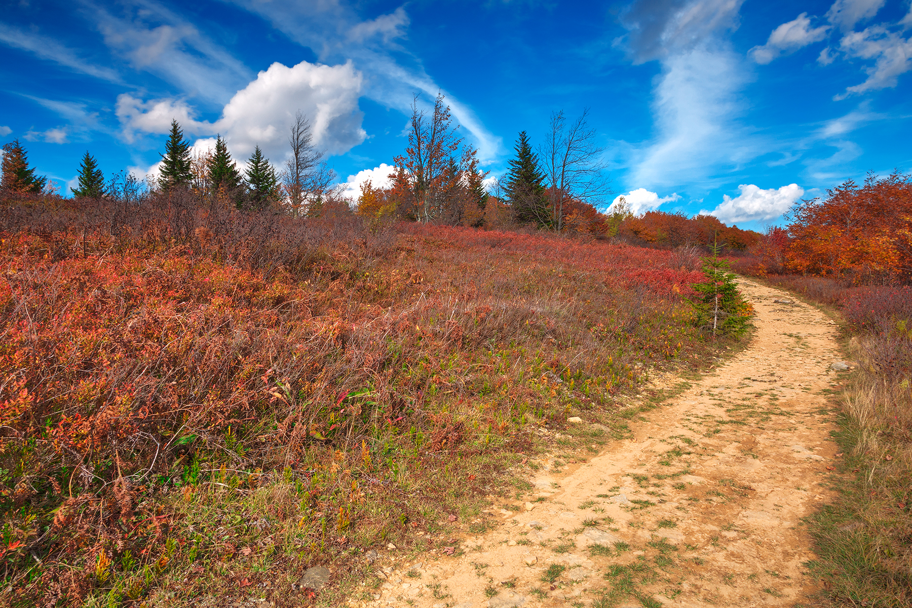 Winding autumn dolly sods trail - hdr photo