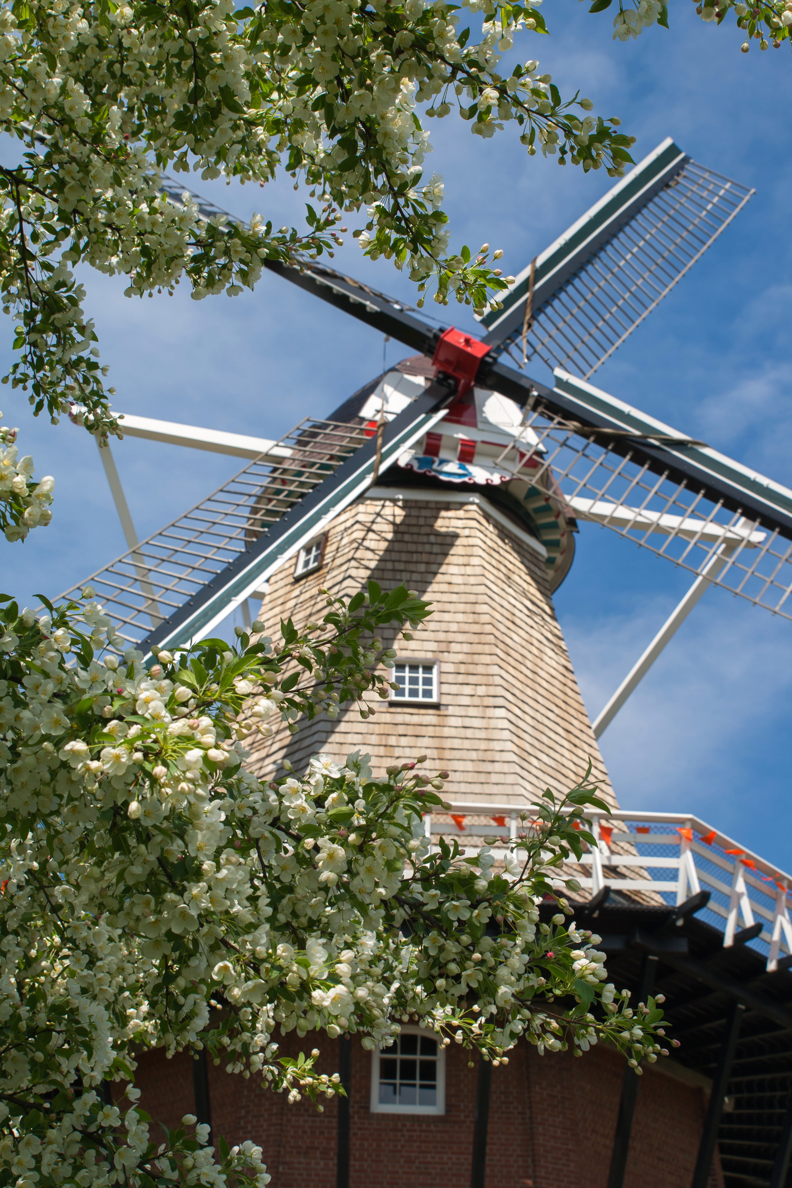 Take a Look Inside DeZwaan Windmill in Holland, Michigan | Michigan