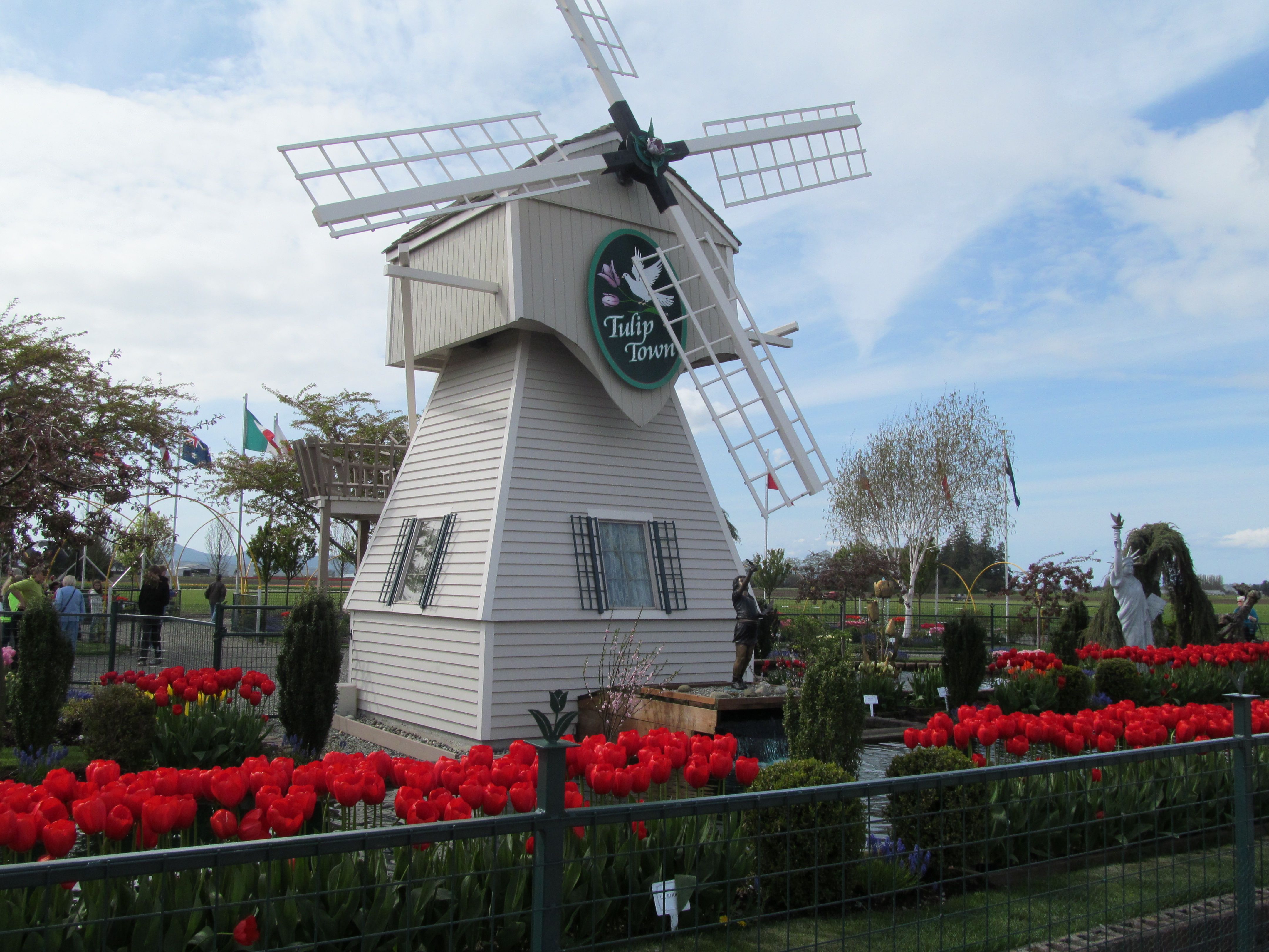 A windmill at Tulip Town in Skagit Valley | Windmills | Pinterest ...