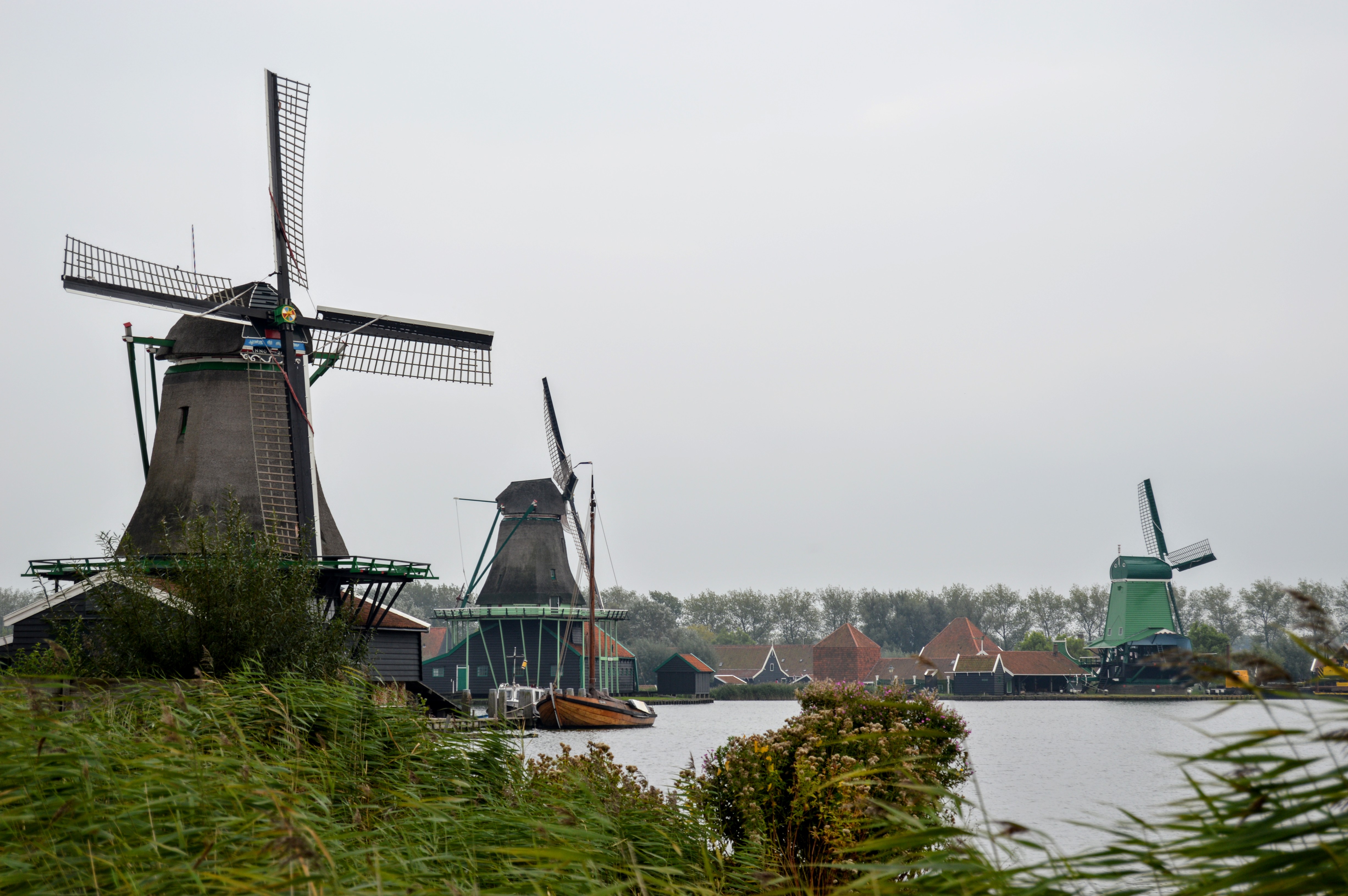 Windmills in dutch countryside photo