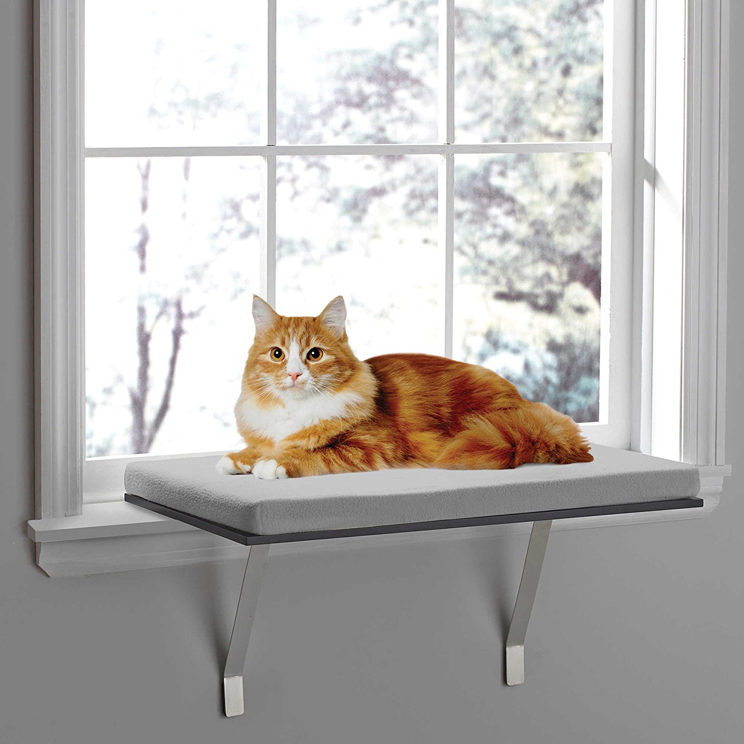 Amazon.com : Deluxe Pet Cat Window Seat Perch : Pet Supplies