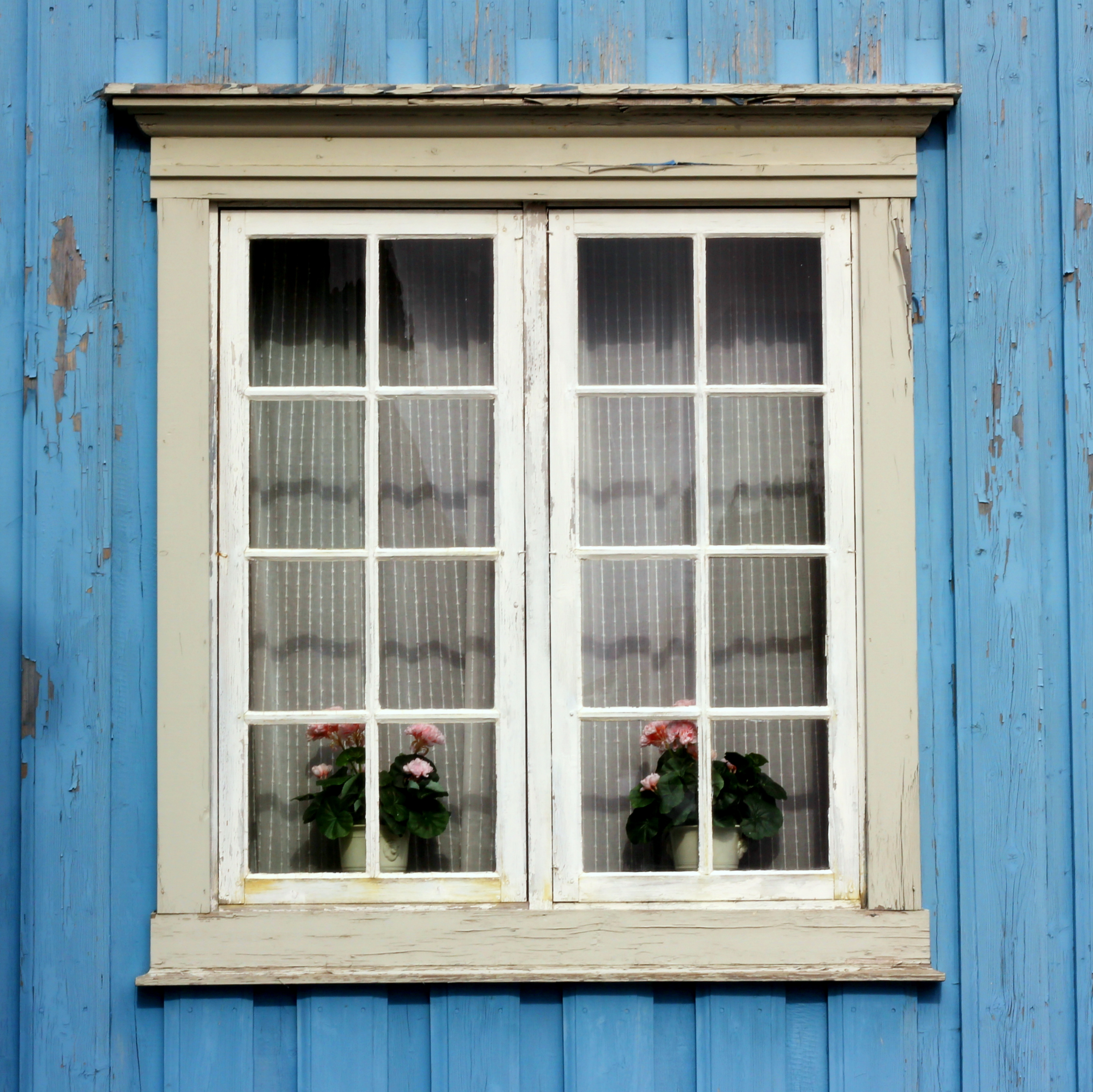 107/366 The window in the blue house – ingaphotography