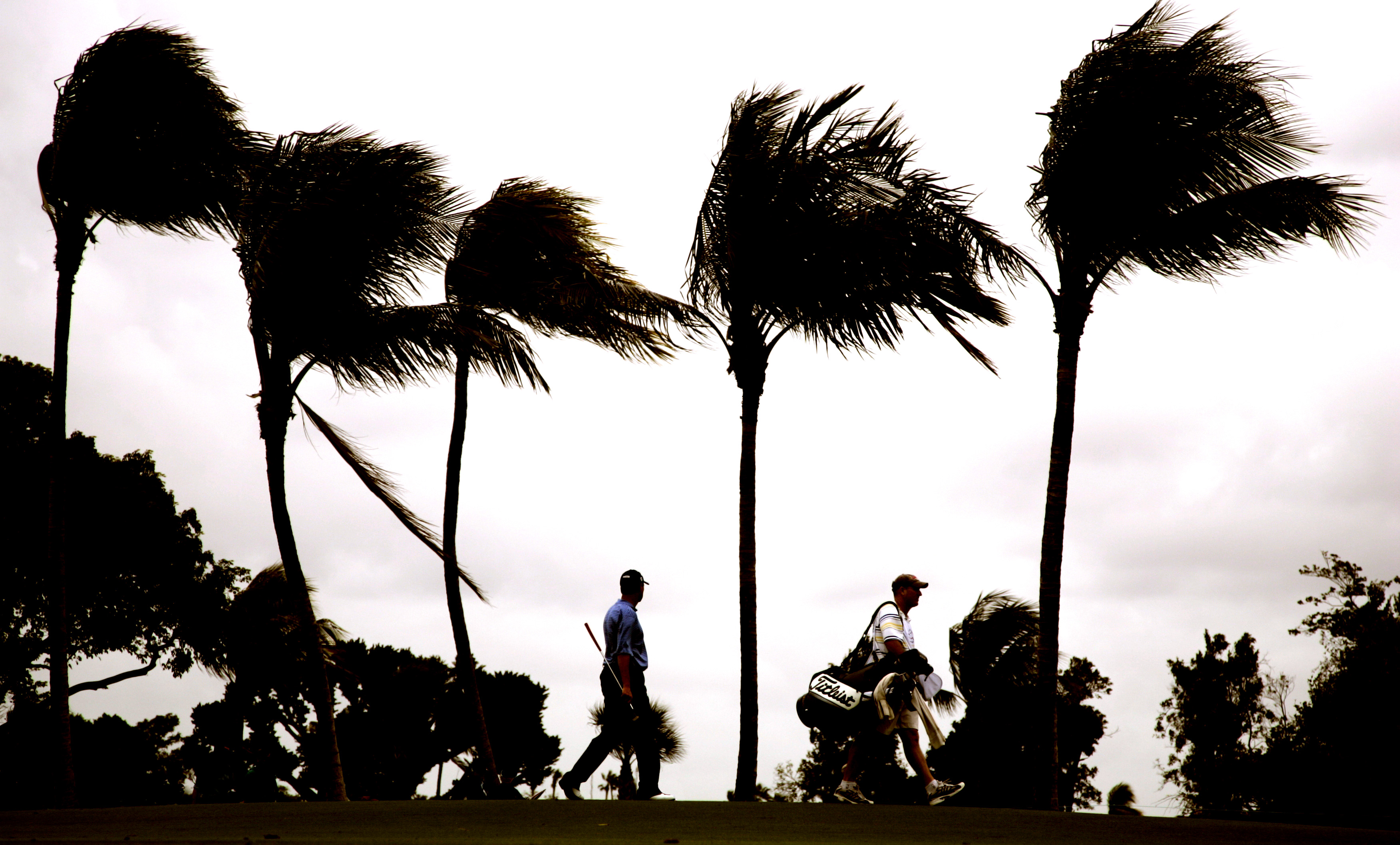 Ten of the Best: Golf in the wind tips | GolfMagic