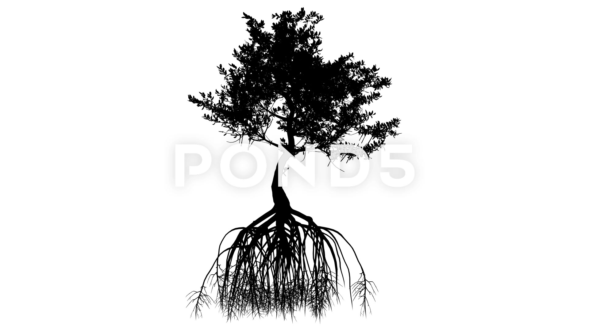 Red Mangrove Long Roots Silhouette Of Tree Small Animated Tree is ...