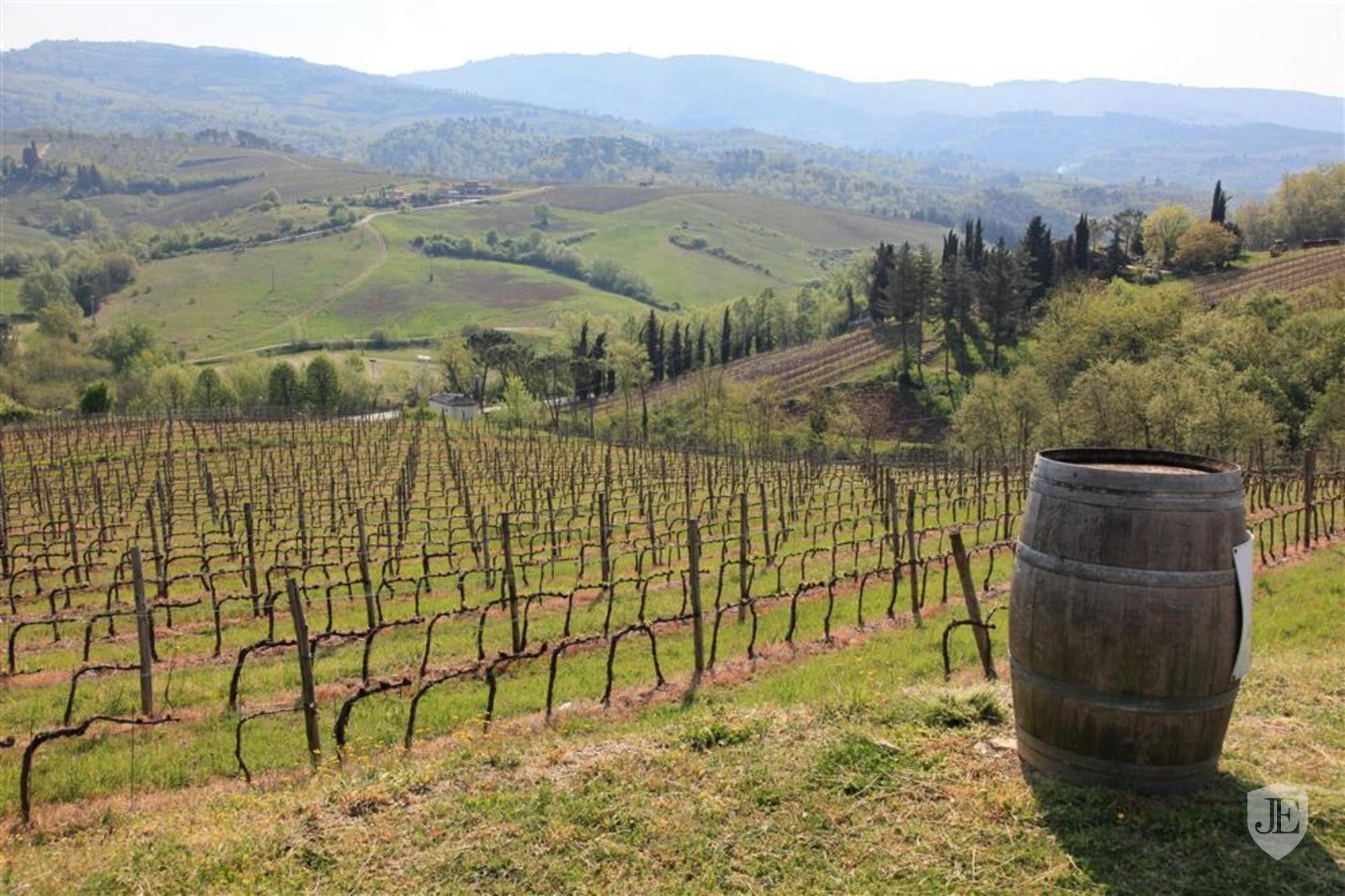 Wineyard farm with ancient villa and annexes in Greve In Chianti ...