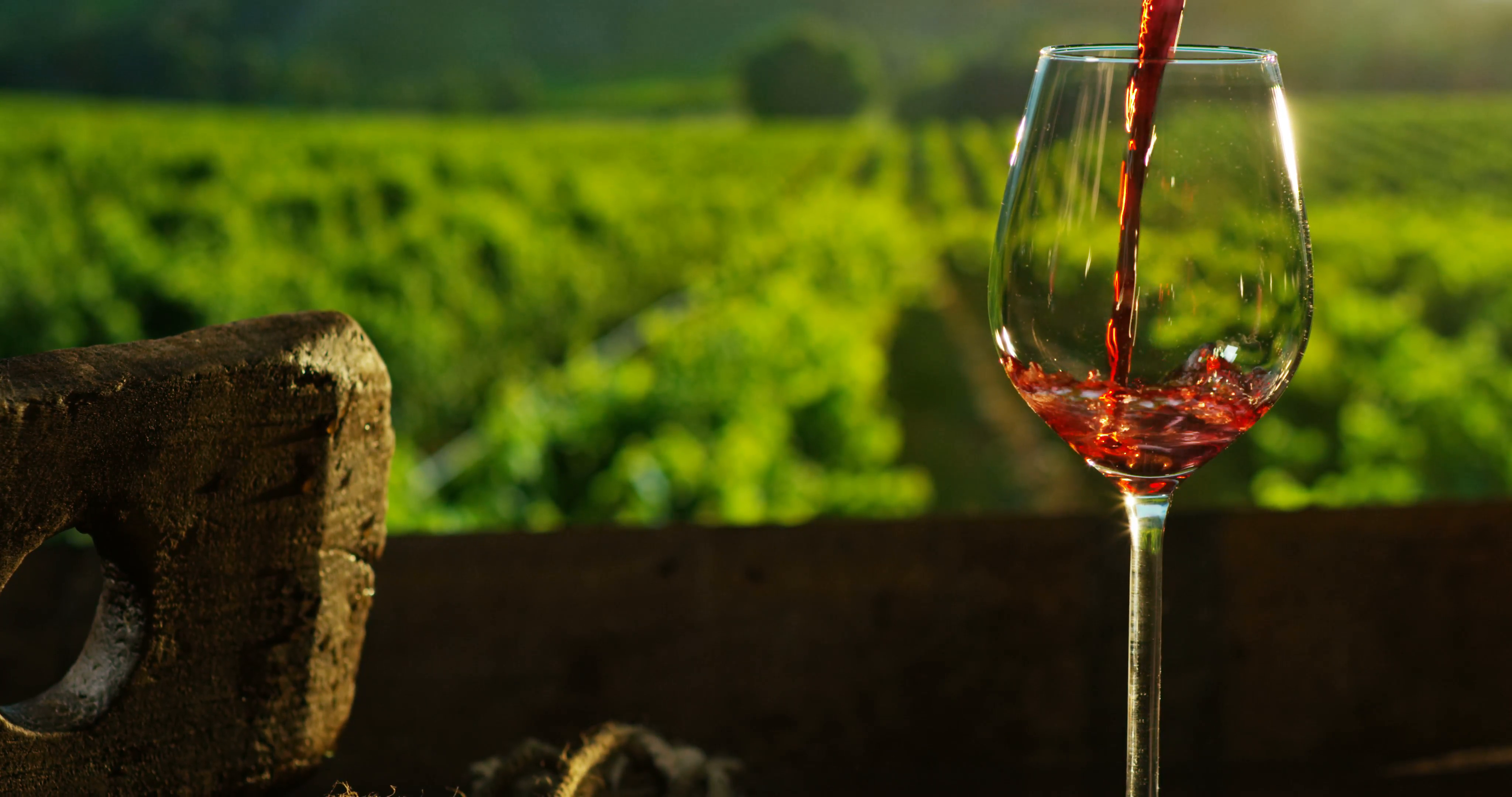 sommelier in wineyard pouring italian red wine in glass in slow ...