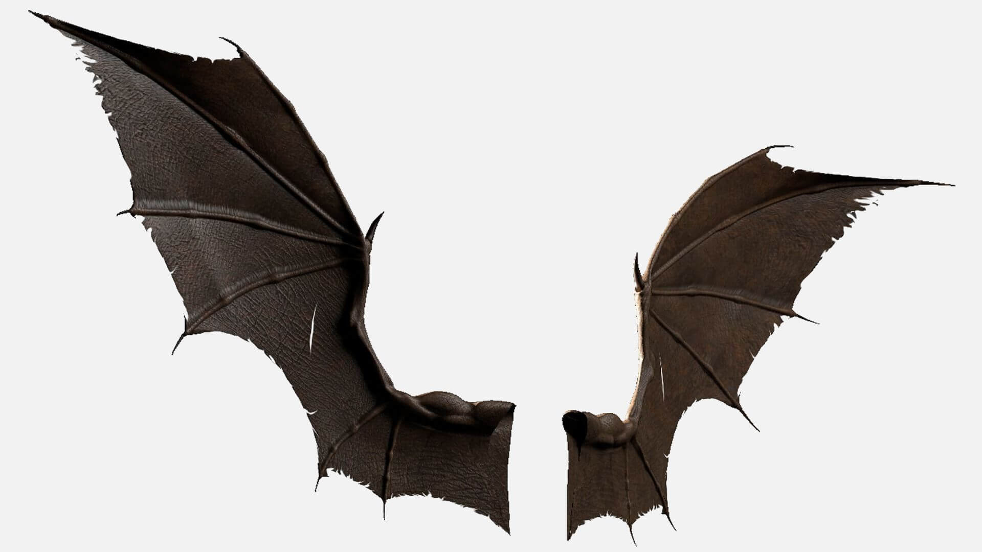 Bat Wings (C4D) 3D Model