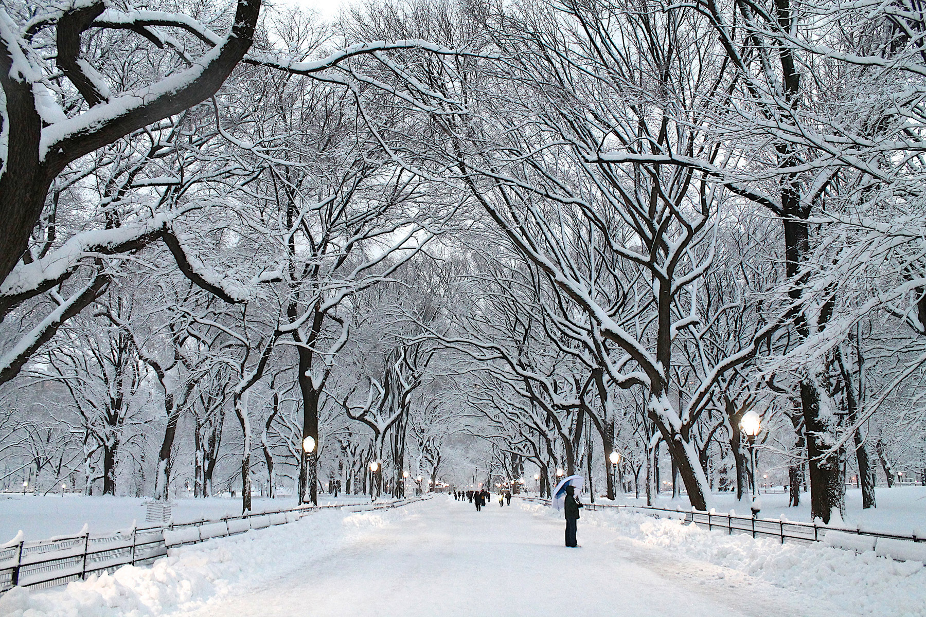 A Winter Guide to NYC | A Cup of Jo