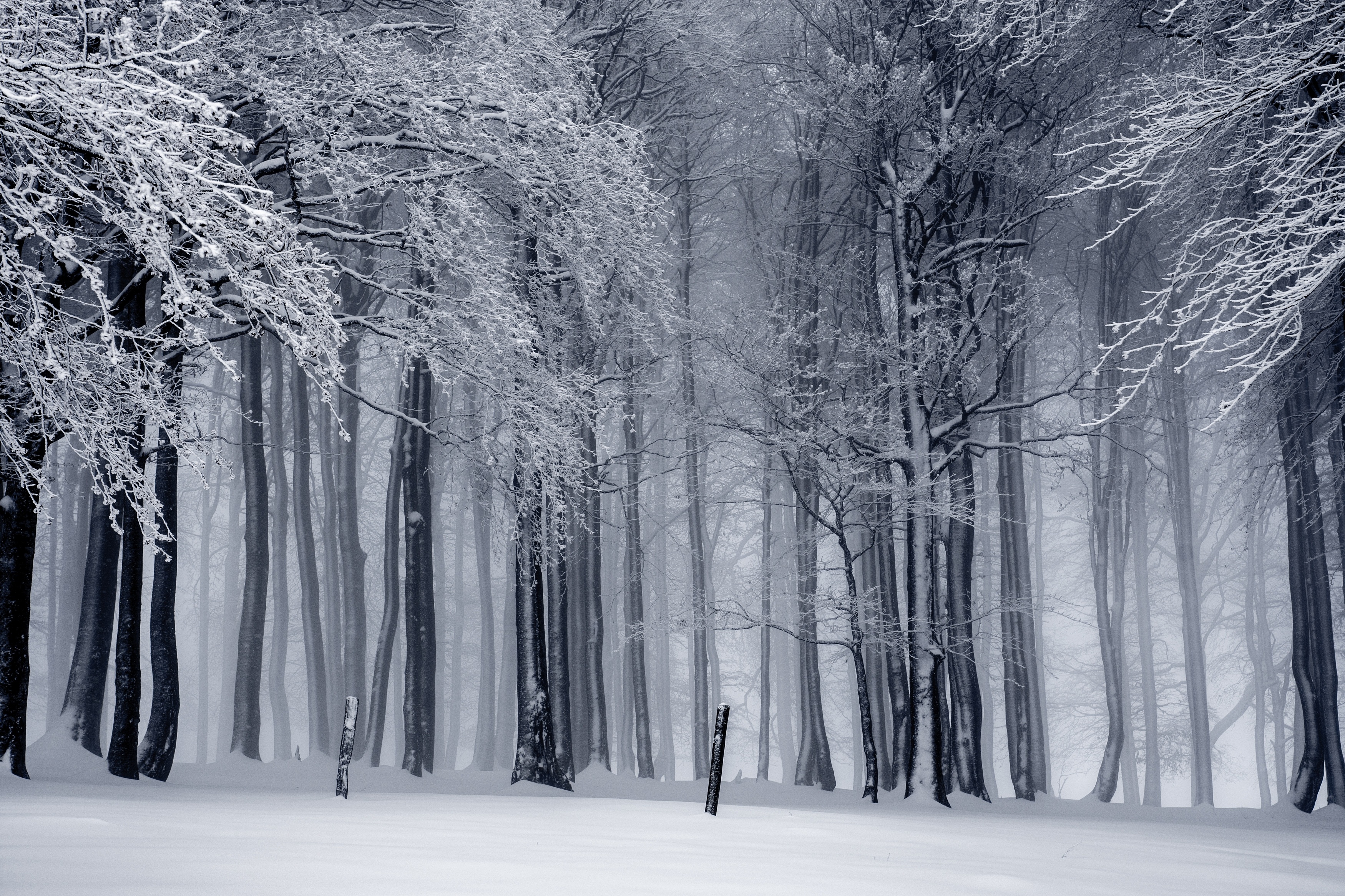 Relationship Between Winter & Hearing Loss - Beltone Blog | Hearing ...