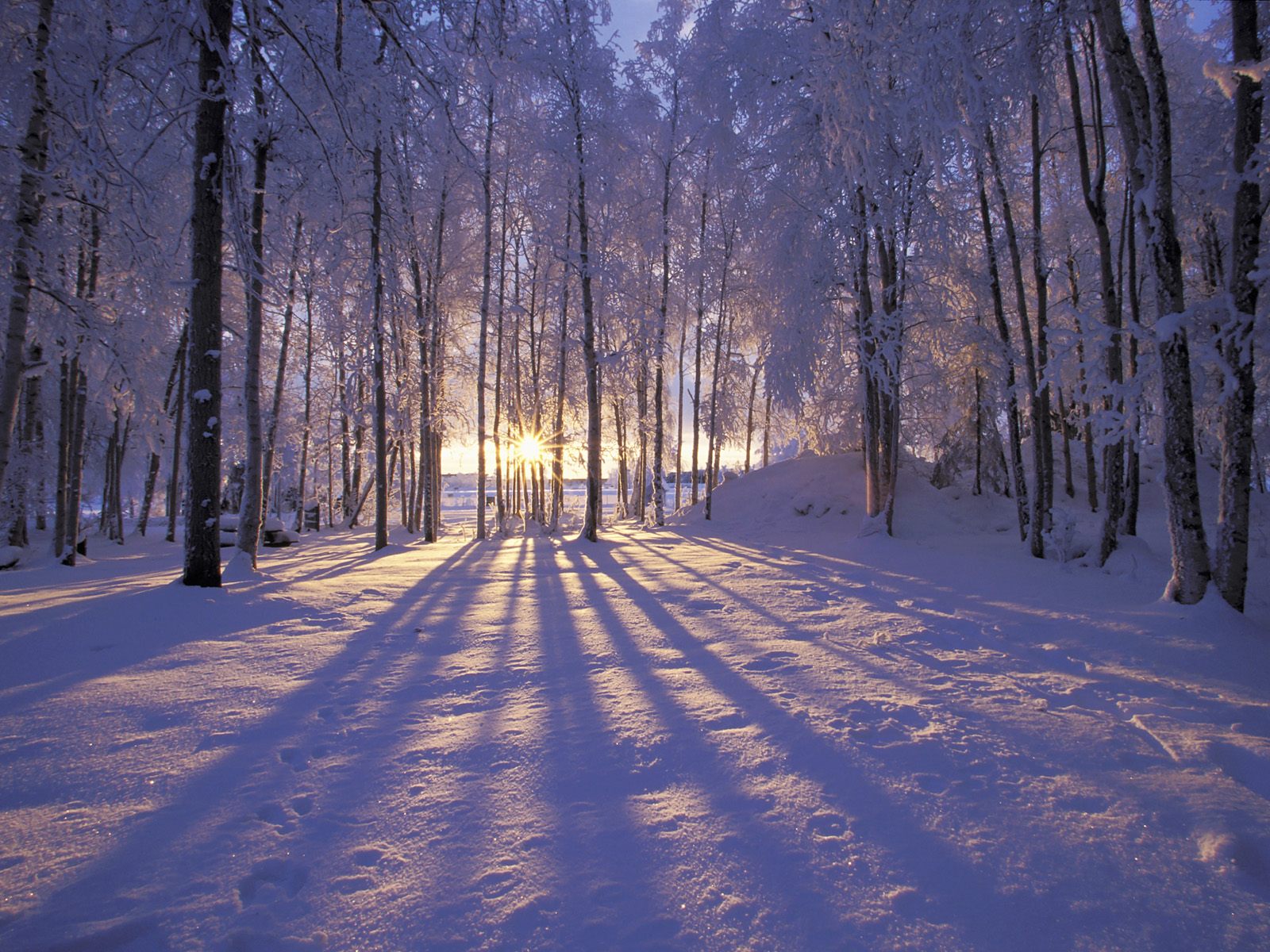 Winter Solstice 2017: The First Day of Winter | Facts, Folklore, and ...