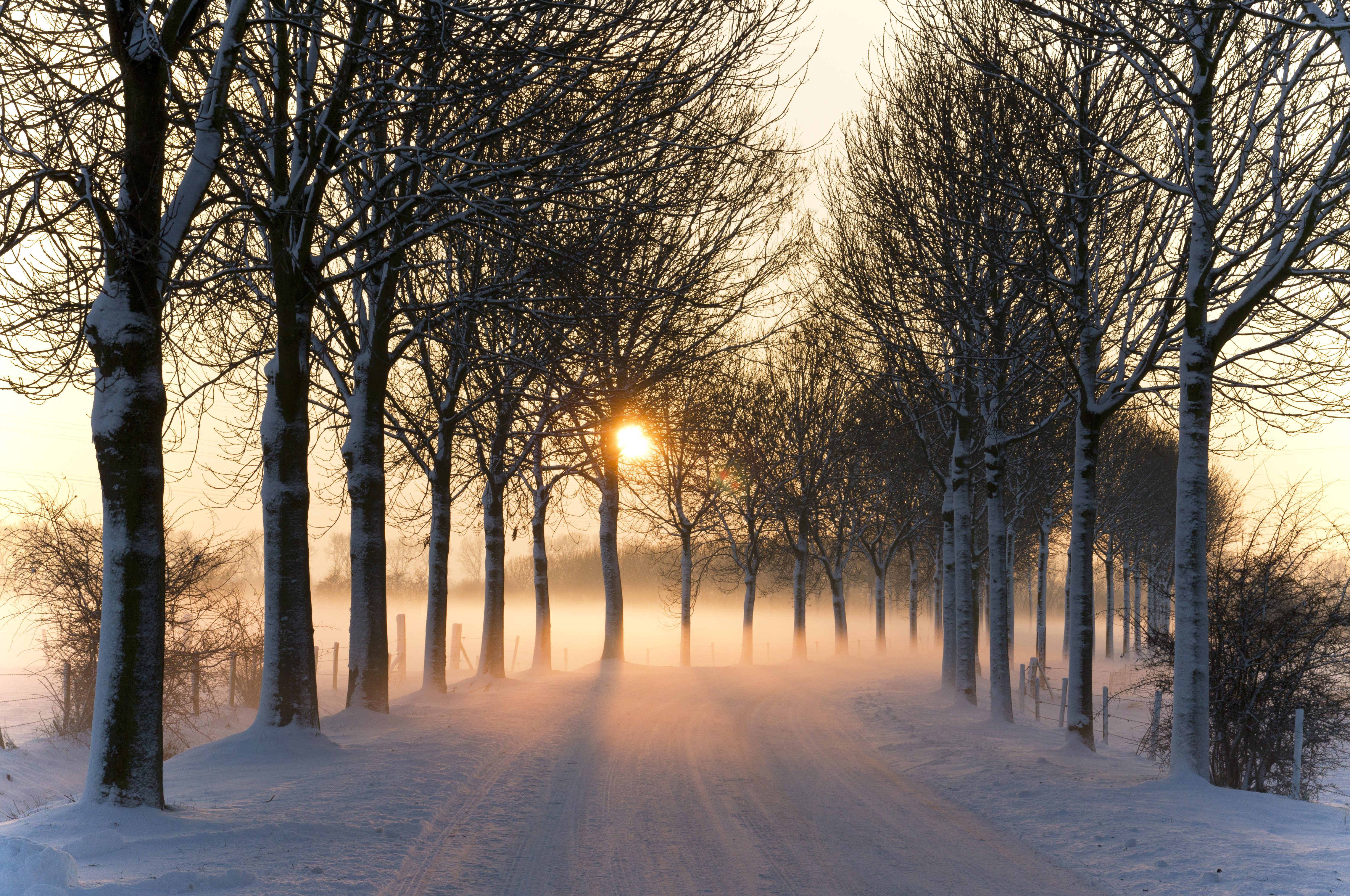 File:Misty winter afternoon (5277611659).jpg - Wikimedia Commons