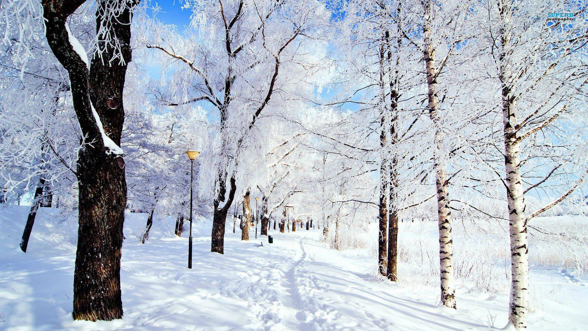 snow images Snow in Winter HD wallpaper and background photos (36241636)