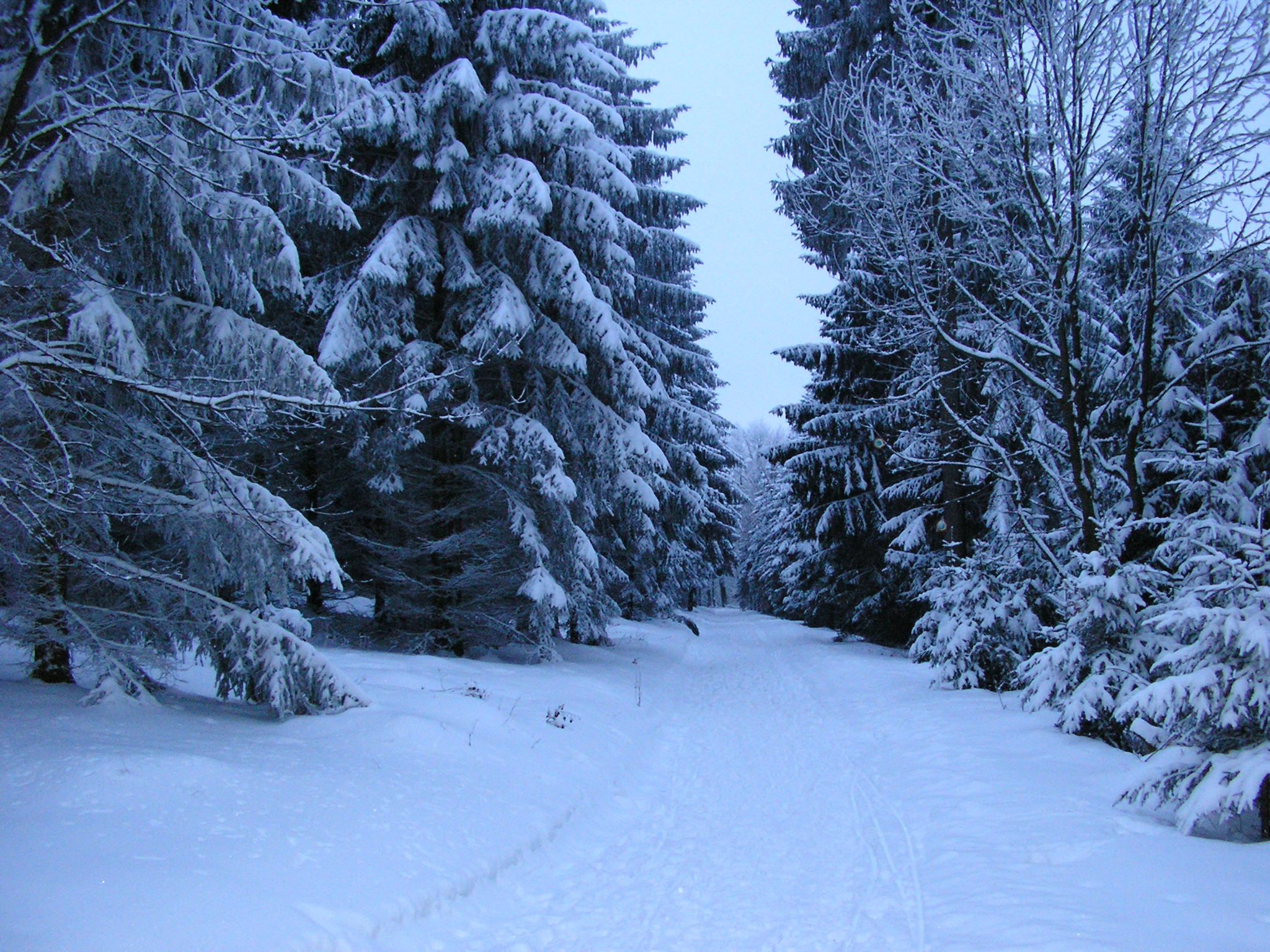 File:Falk Oberdorf Wiehengebirge Winter Heidbrink.JPG - Wikimedia ...