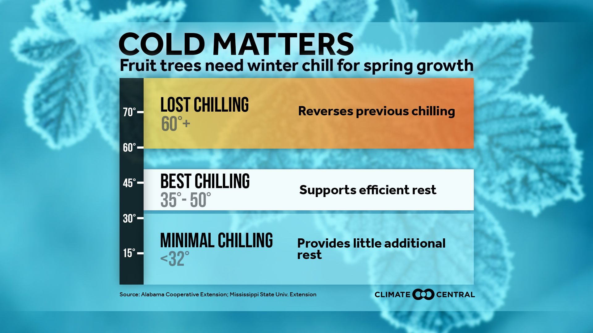 Fruit Trees Need Winter Chill for Spring Growth | Climate Central
