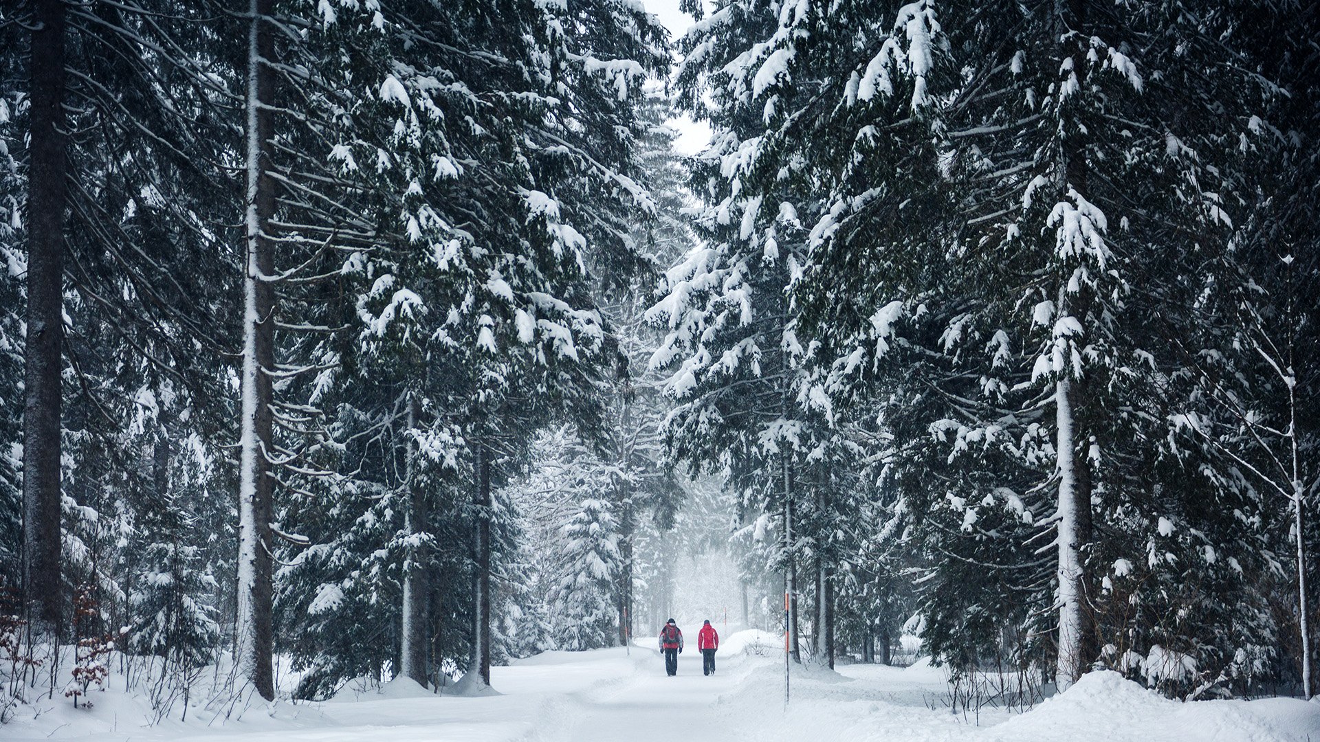 Winter magic | Achensee | Winter activities