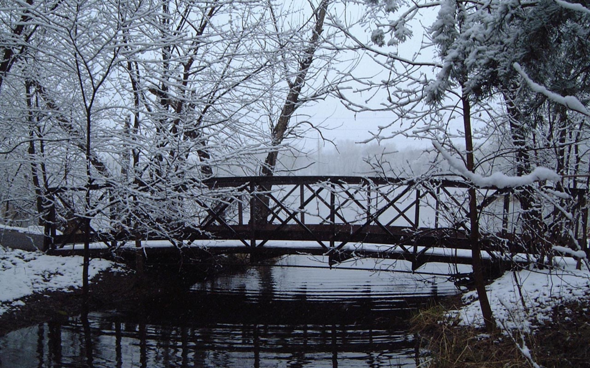 Bridge, winter, wallpapers, nature (#100931)