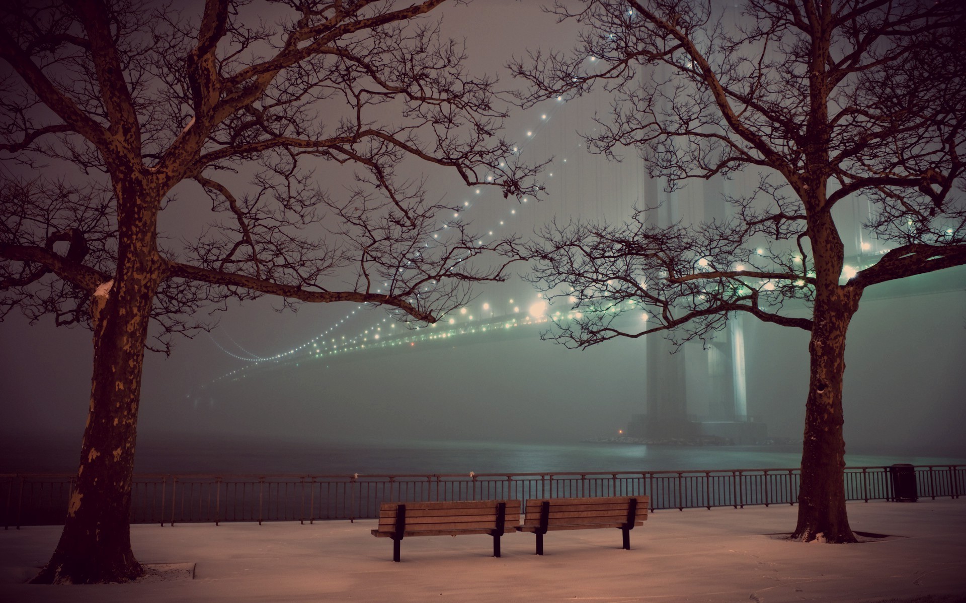 winter, Bridge, Lights, Trees, Snow, Bench, Fence, Night Wallpapers ...