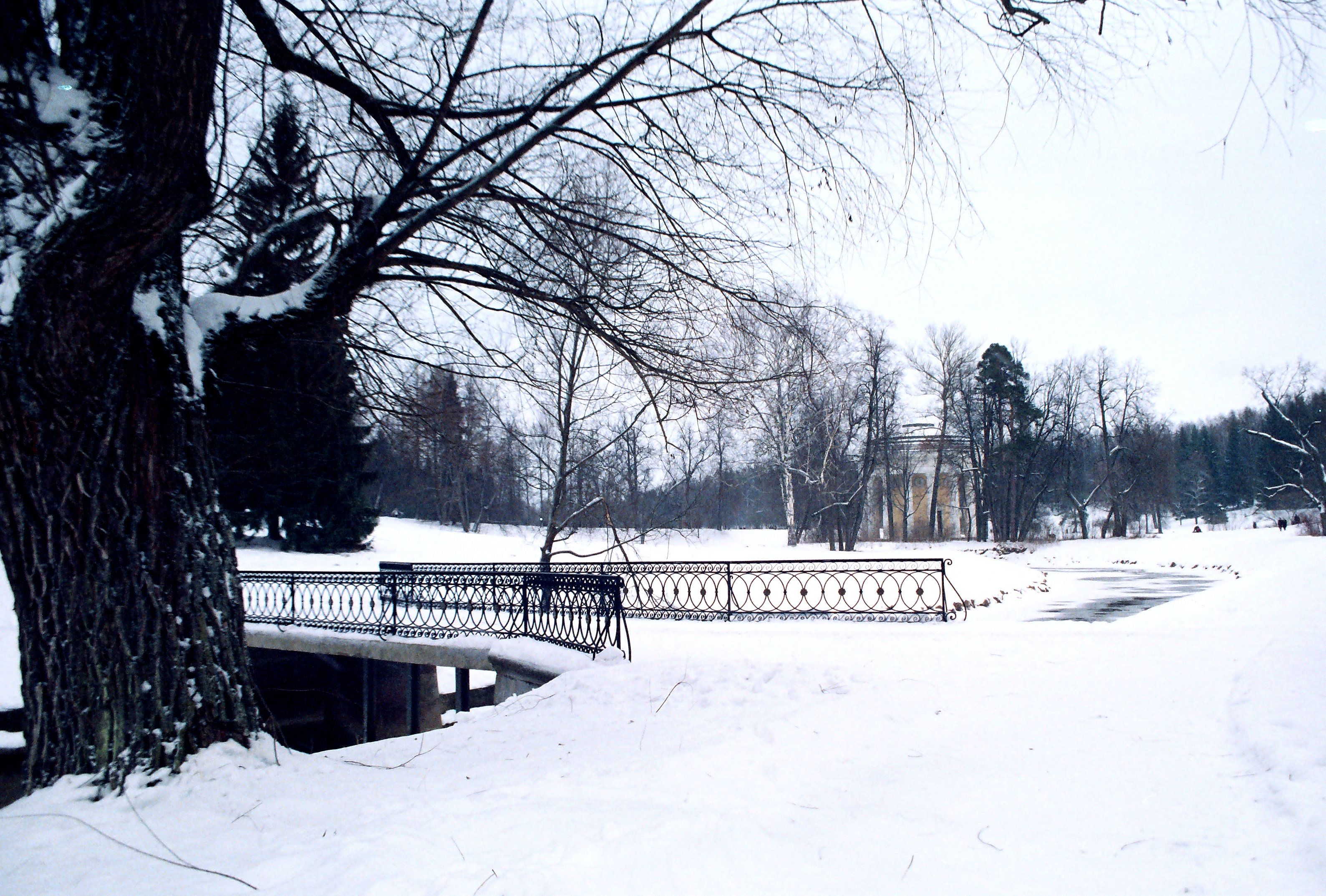 File:Pavlovsk Railing of bridge Yellow palace Winter.jpg - Wikimedia ...