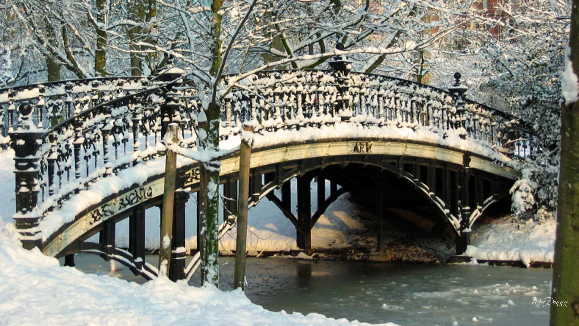 Bridges: Frozen Bridge Snow Winter River Freze Cold Ice Trees Photos ...