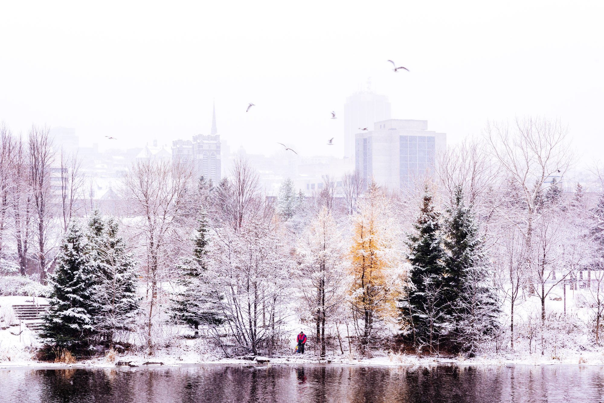 50+ Beautiful Photos To Make You Visit Quebec City This Winter ...