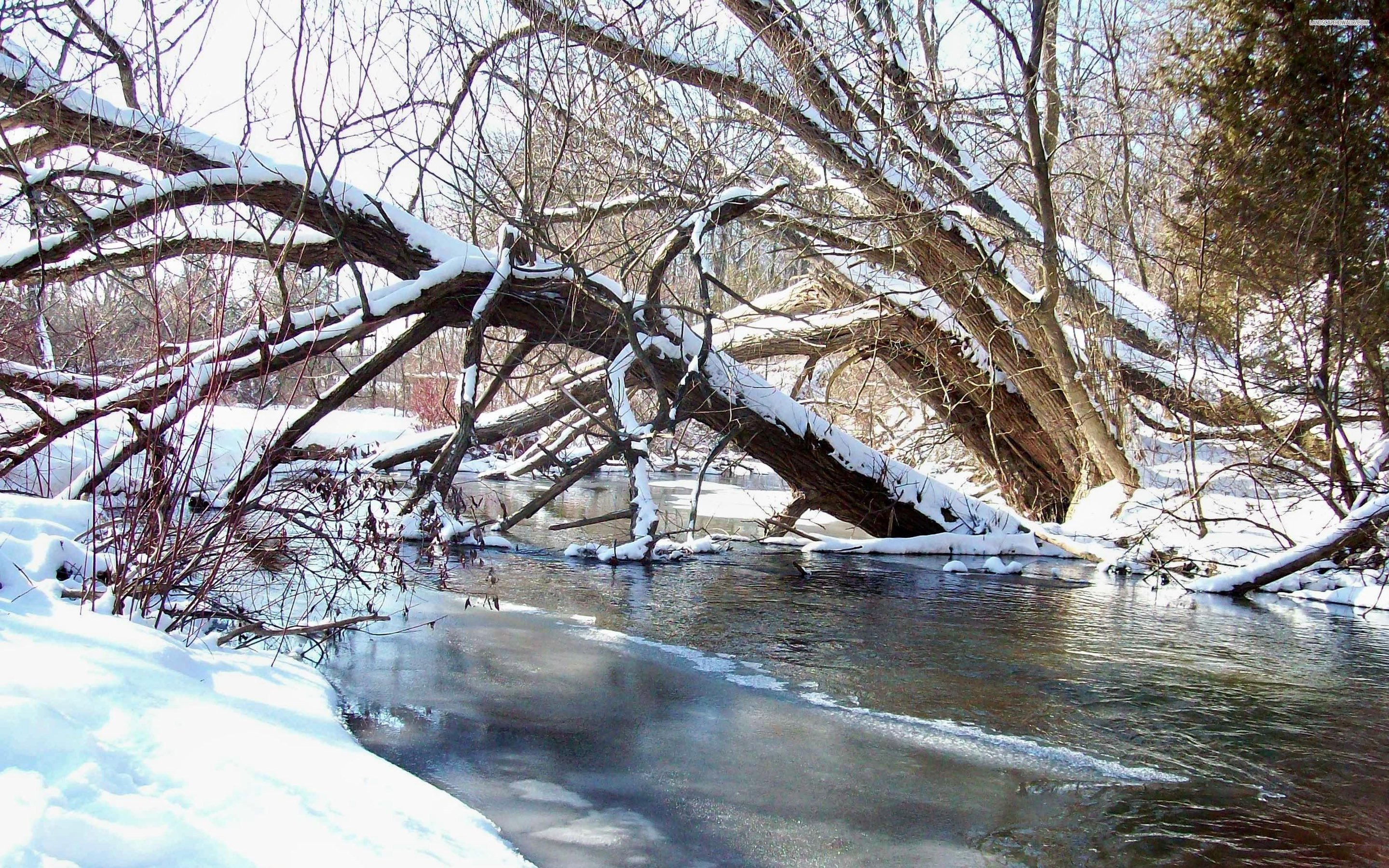 Beautiful Winter Creek - WallDevil