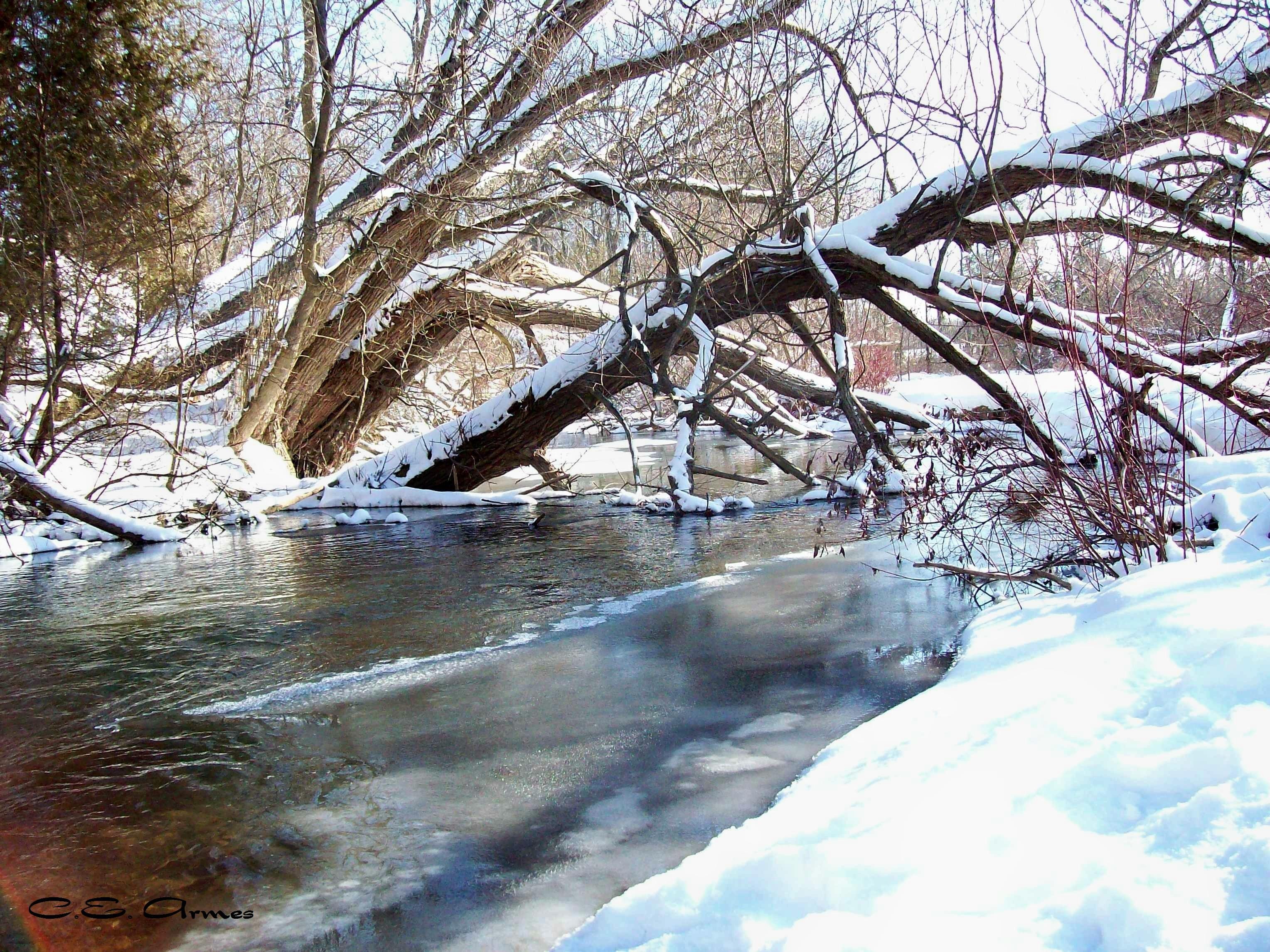 Winter: Winter Creek Snow River Ice Water Trees Pictures For Desktop ...