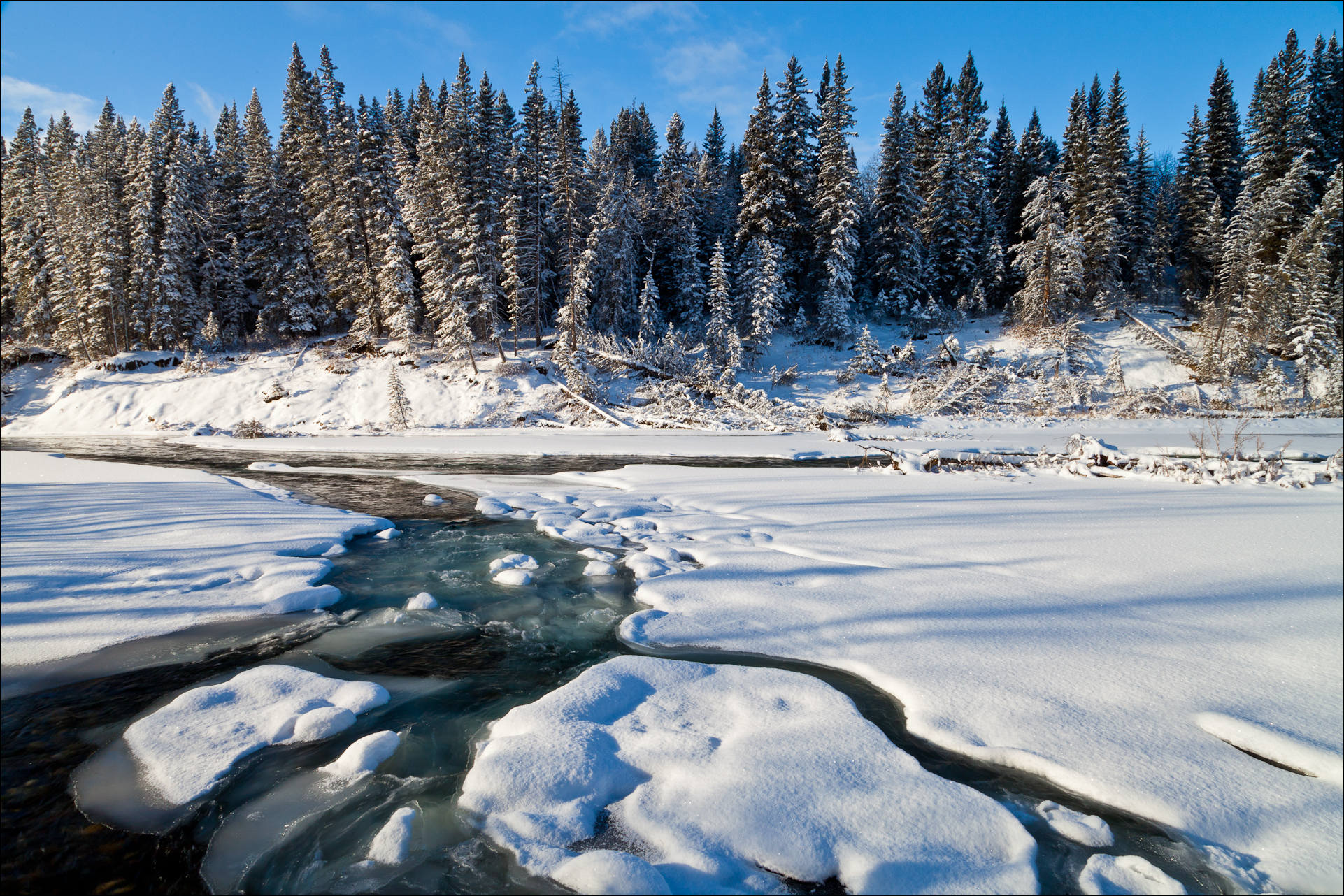 Bragg Creek Landscapes: Winter Wonderland | Christopher Martin ...