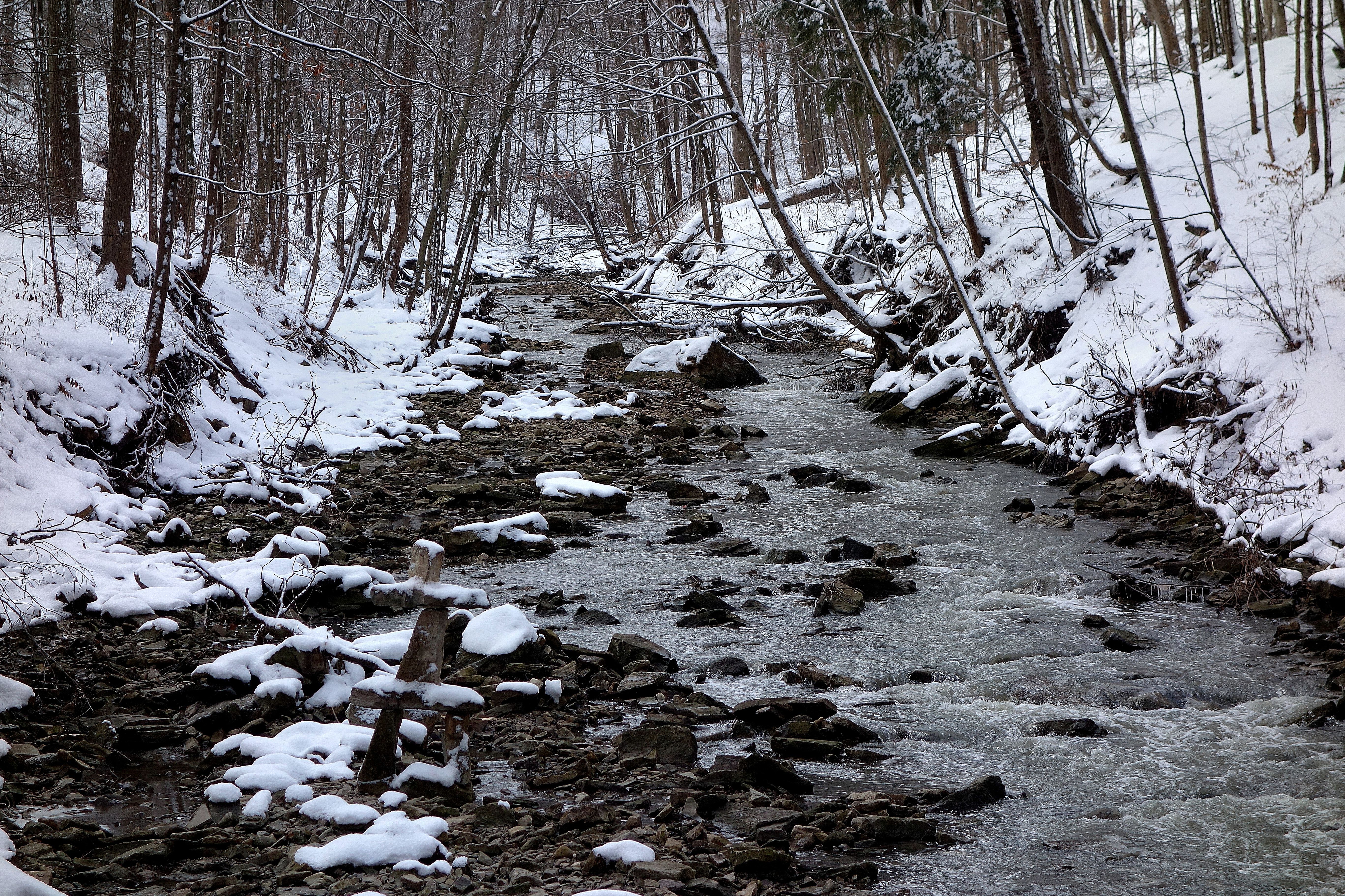 File:Red Hill Creek In The Winter.JPG - Wikimedia Commons