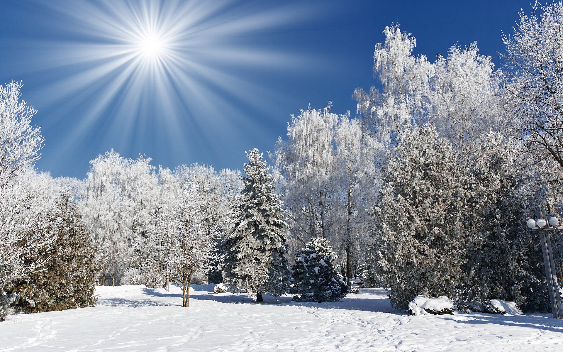 Sunny Winter Day ❤ 4K HD Desktop Wallpaper for 4K Ultra HD TV ...