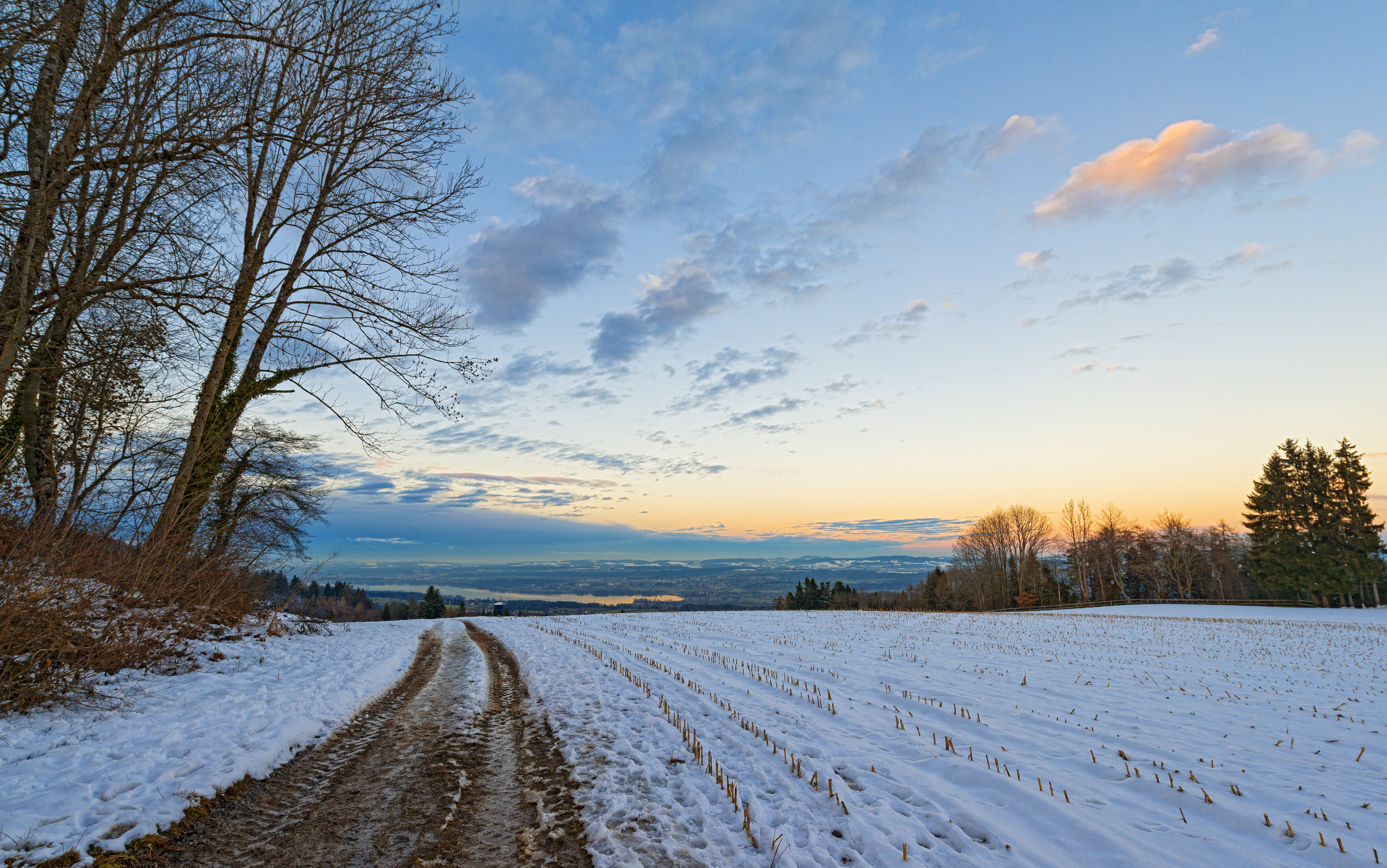 The road in the winter field wallpapers and images - wallpapers ...