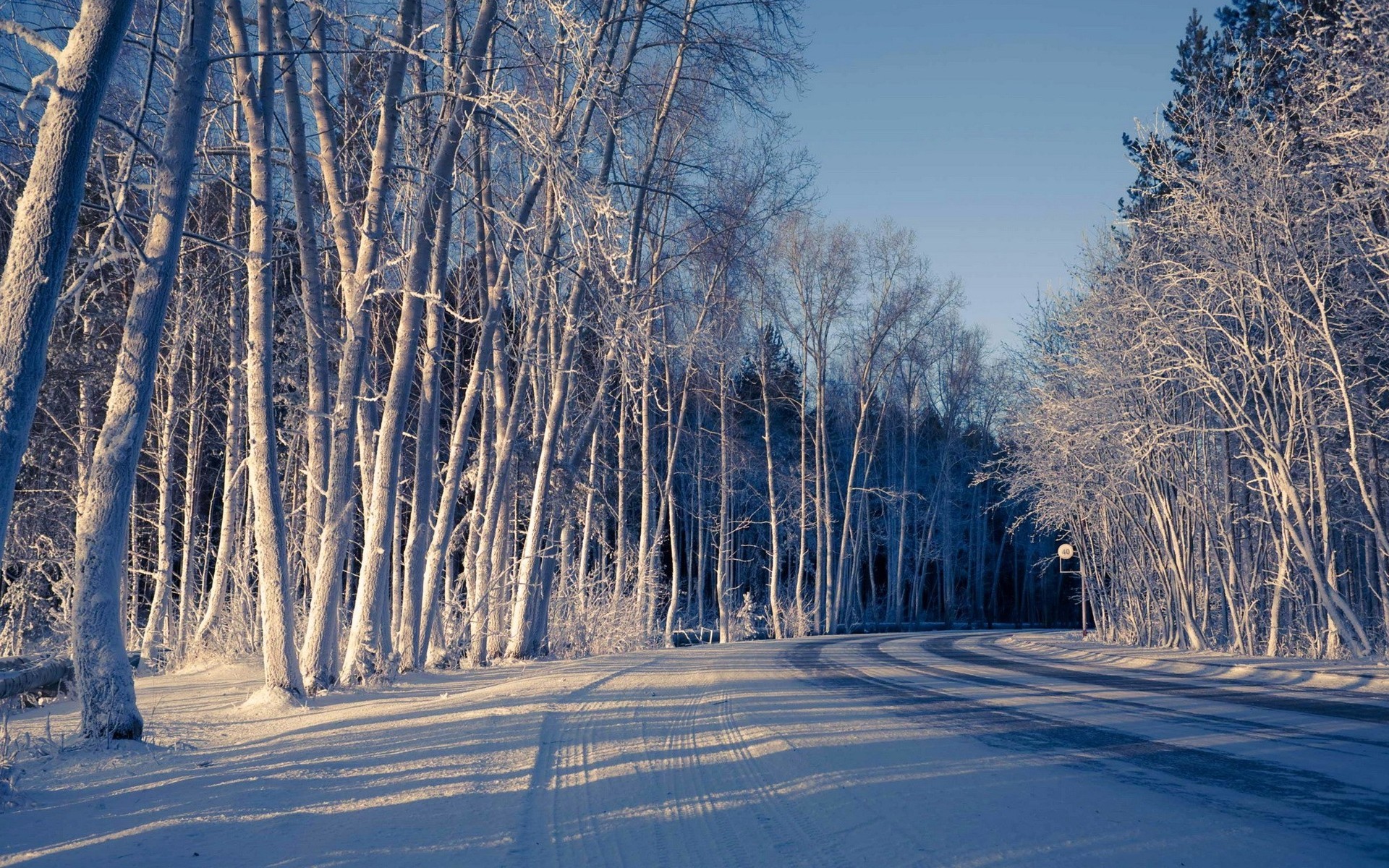 Road curve through winter forest / 1920 x 1200 / Forest ...
