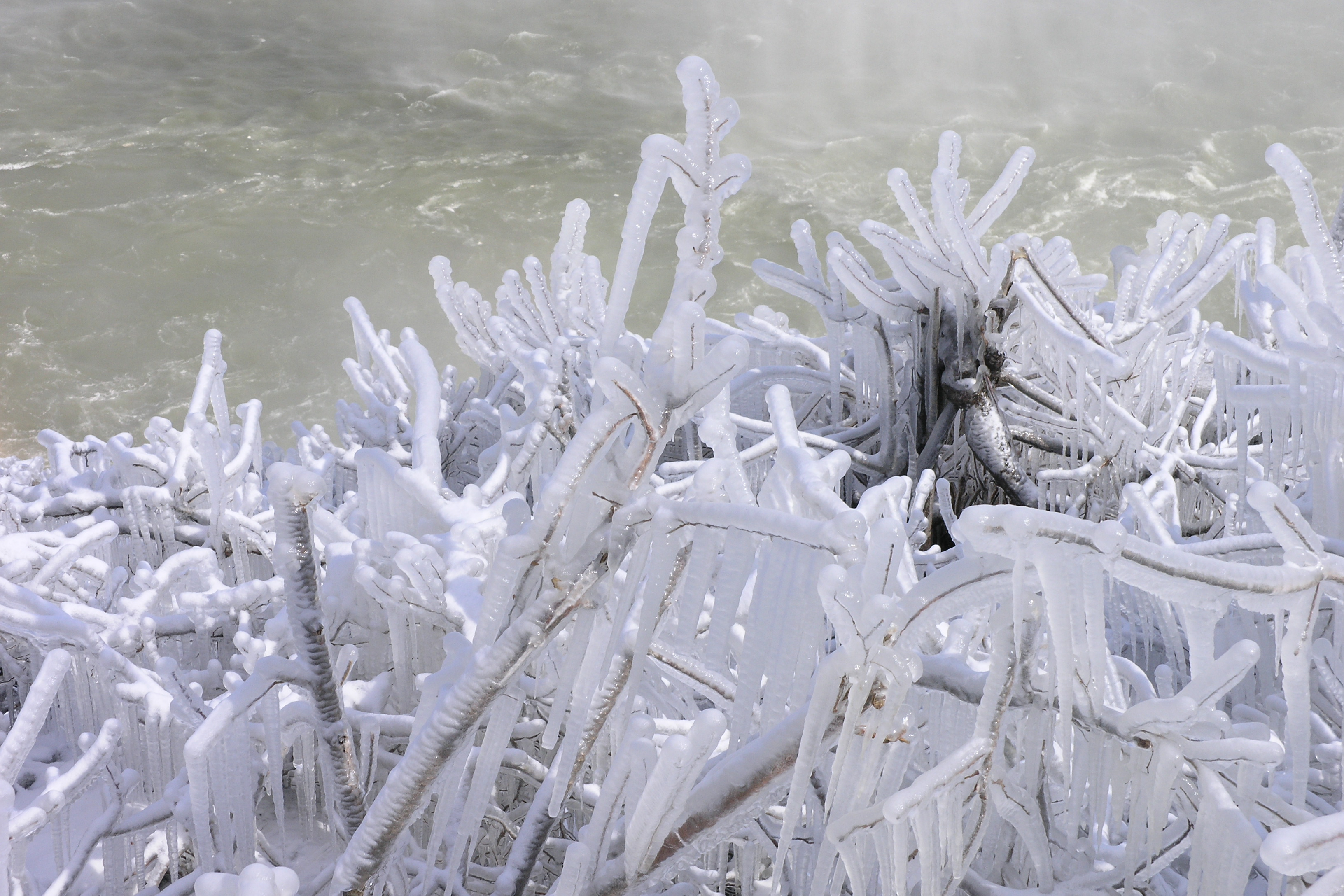 File:Ice-encrusted bushes near Horseshoe Falls in winter.jpg ...