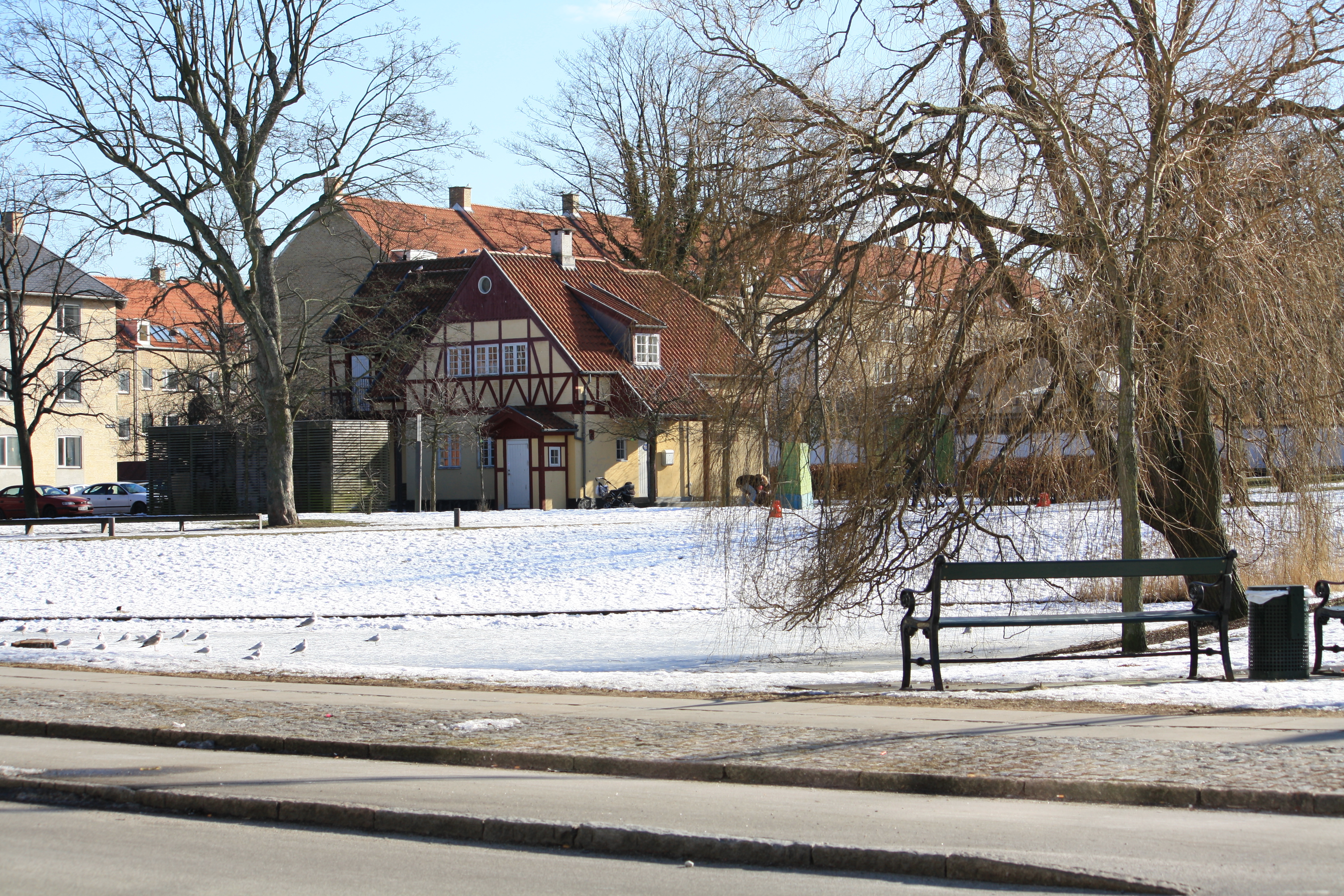 Winter in copenhagen photo