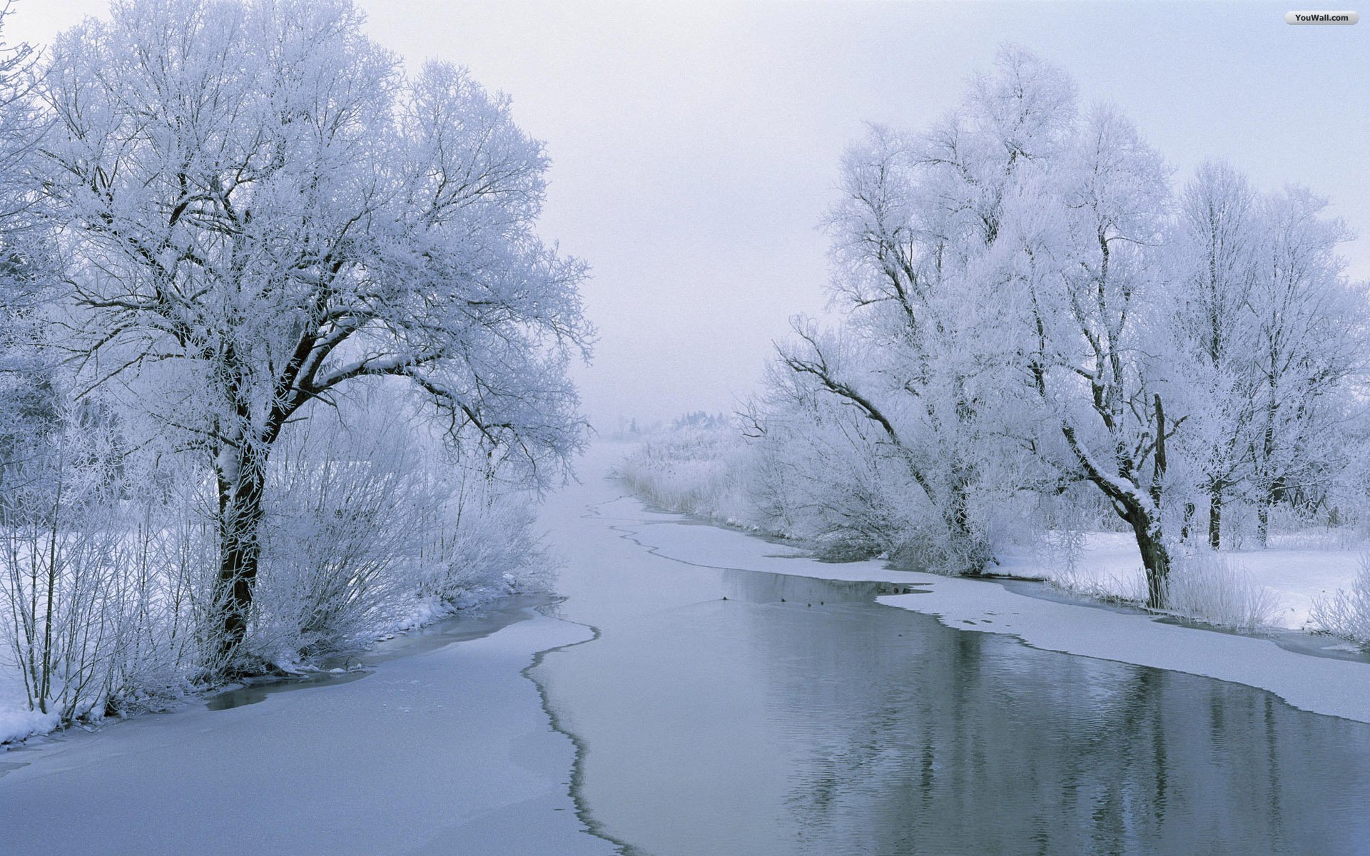 Winter Lake Wallpaper HD | 1920x1200 | Image Id 7439