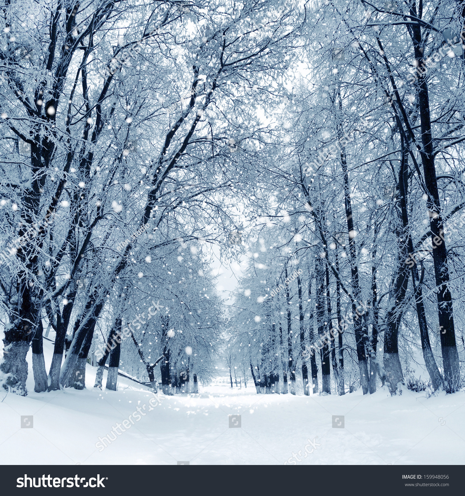 Snowstorm Park Winter Landscape Stock Photo (Royalty Free) 159948056 ...