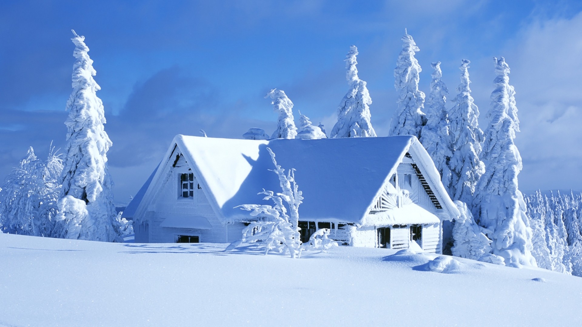 White winter landscape - House covered with snow