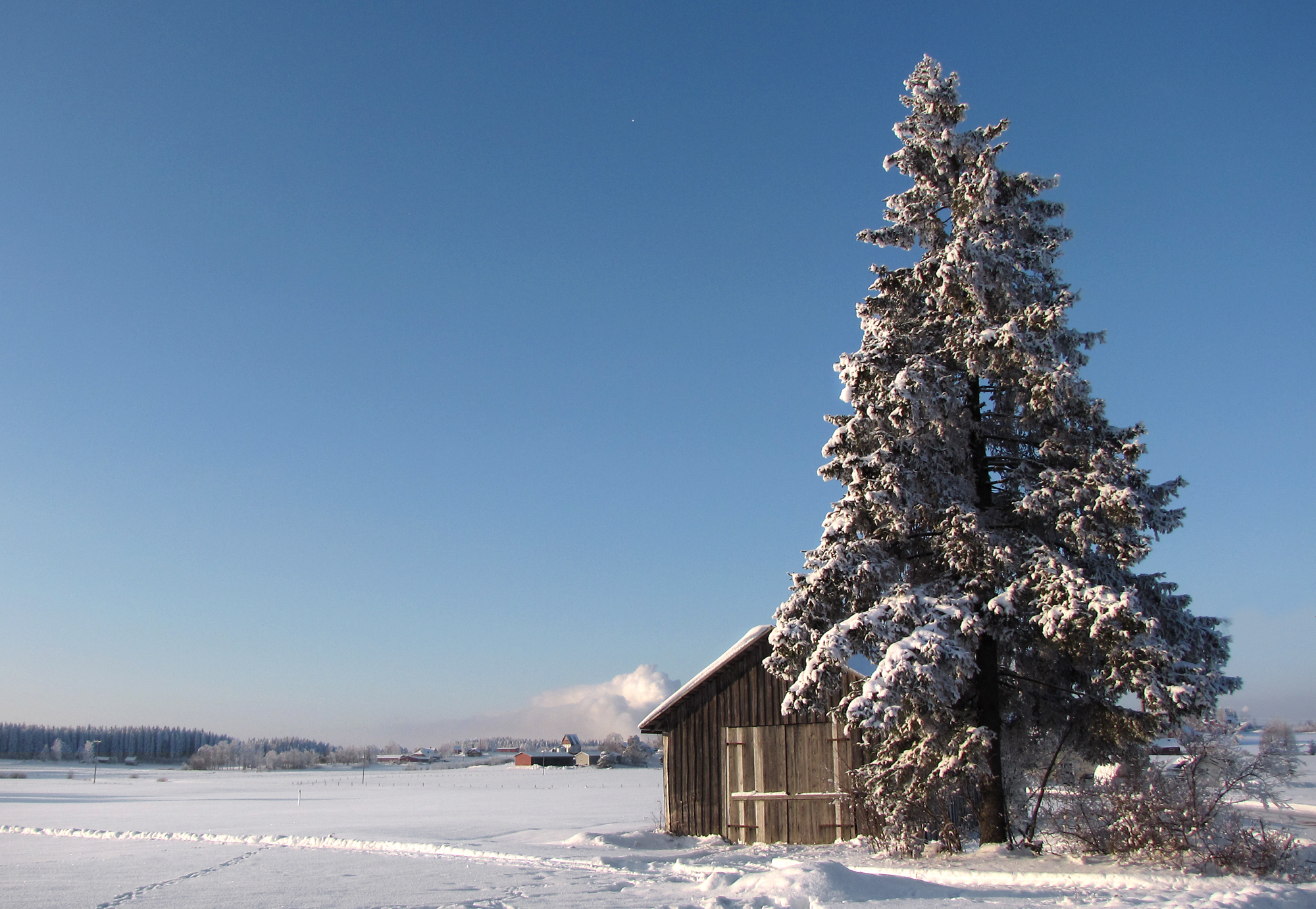 File:Winter-landscape-Lappeenranta-Finland.jpg - Wikimedia Commons