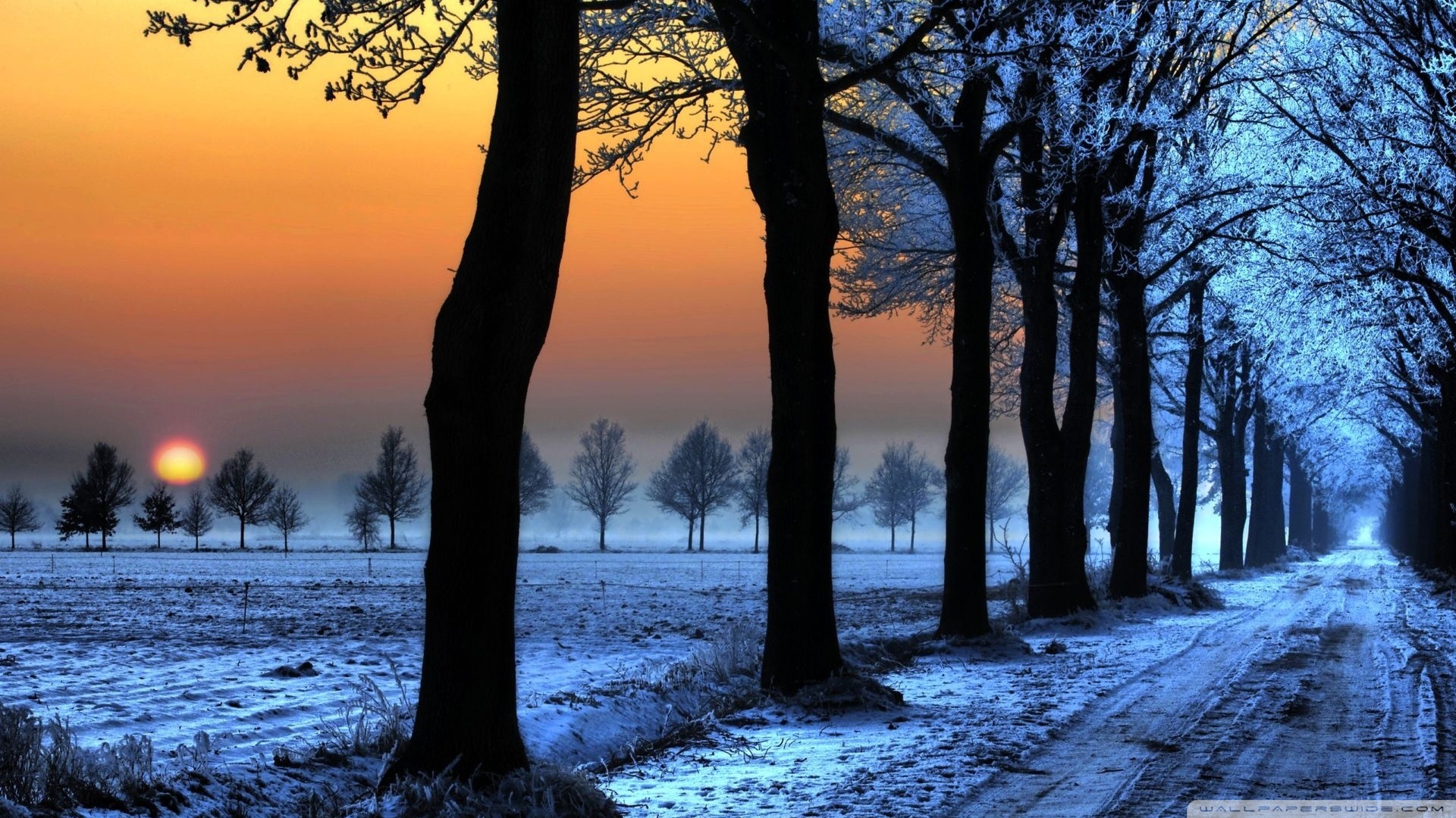 Winter Landscape With Orange Sky ❤ 4K HD Desktop Wallpaper for 4K ...