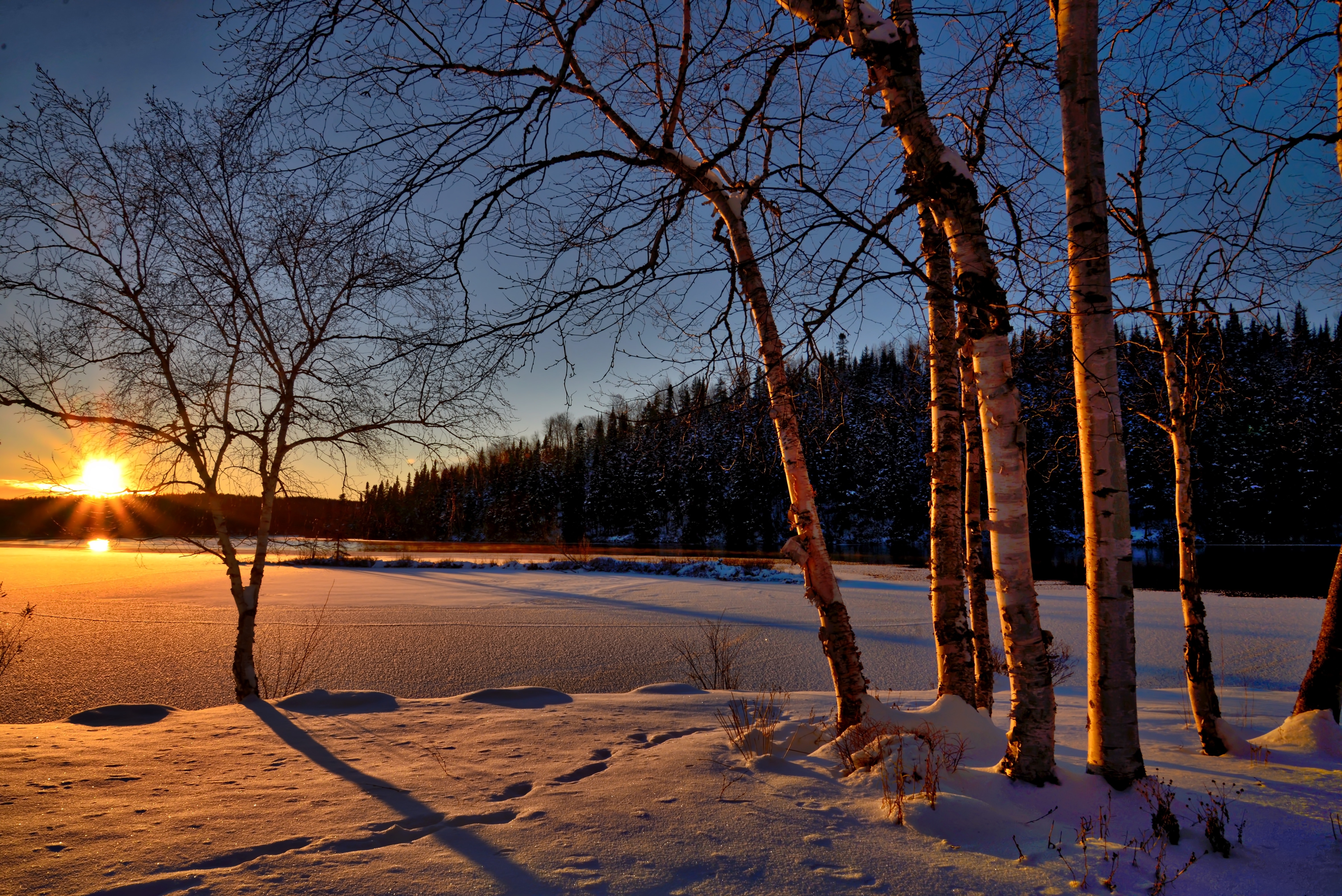 1000+ Great Winter Landscape Photos · Pexels · Free Stock Photos