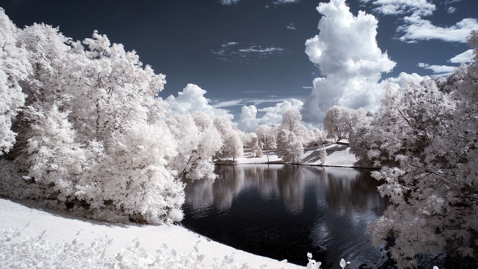 Best Winter Landscape After Freezing | Download HD Wallpapers