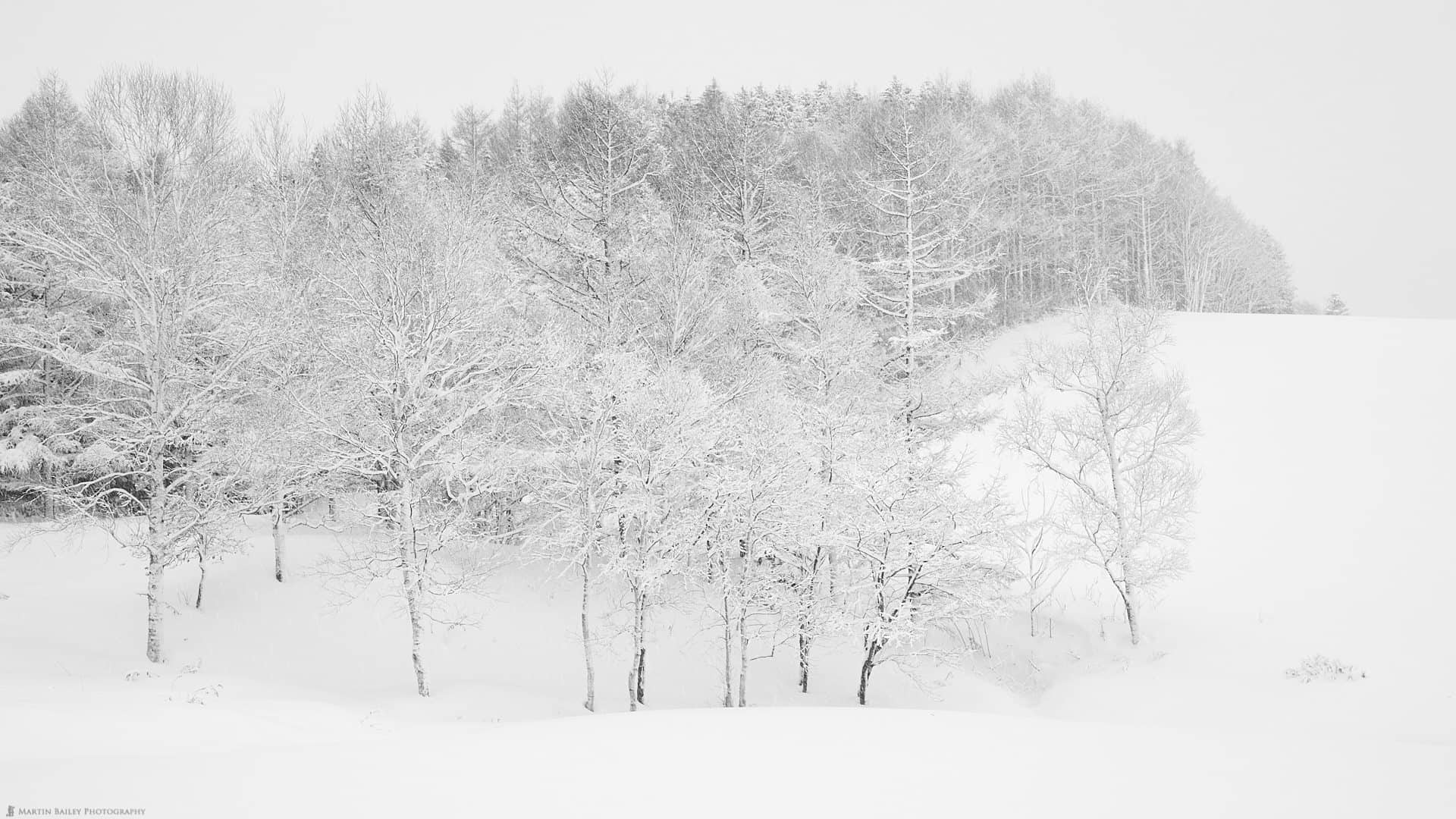 Hokkaido Winter Landscape Photography Adventure 2020 • Martin Bailey ...