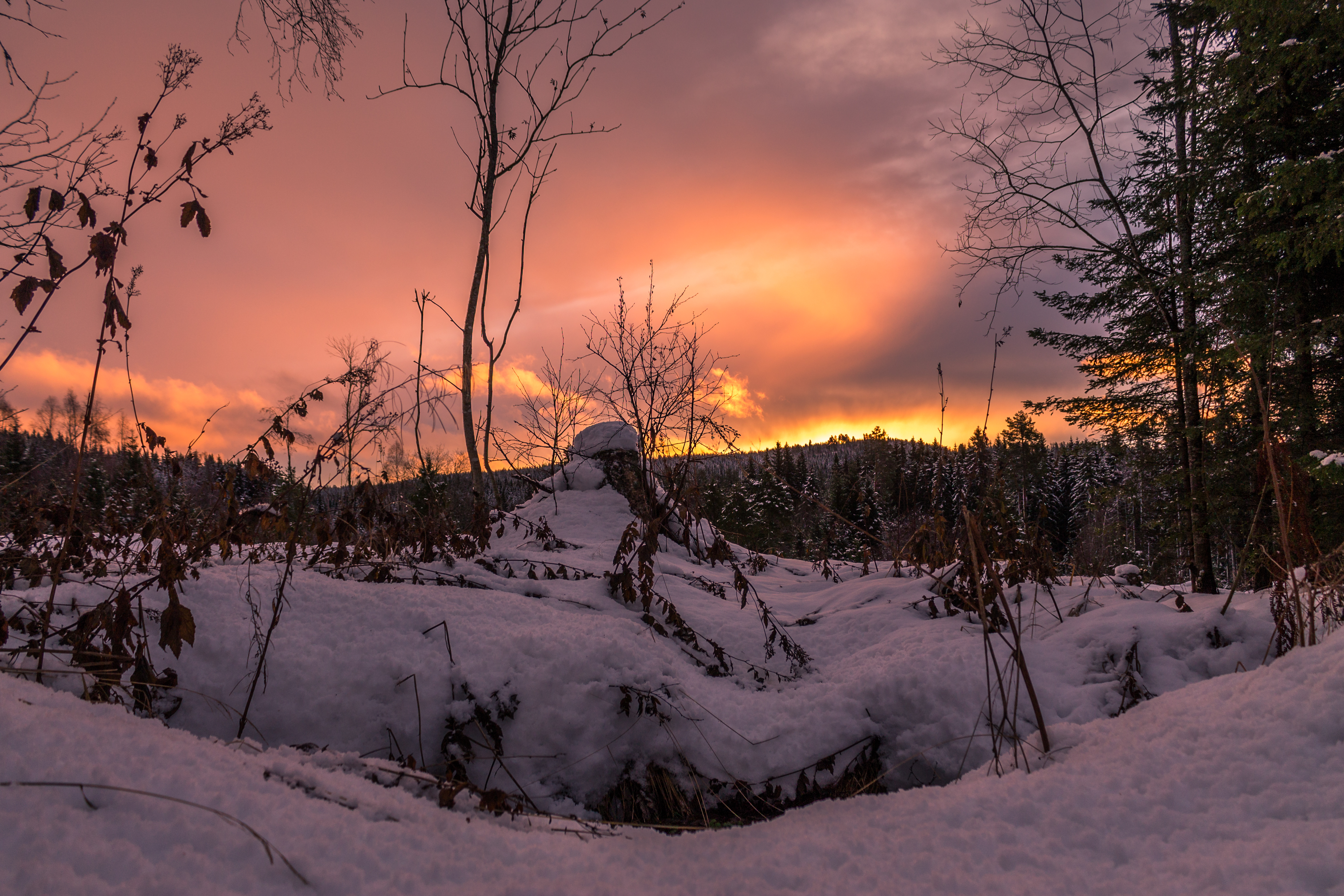 Winter landscape at sunrise photo