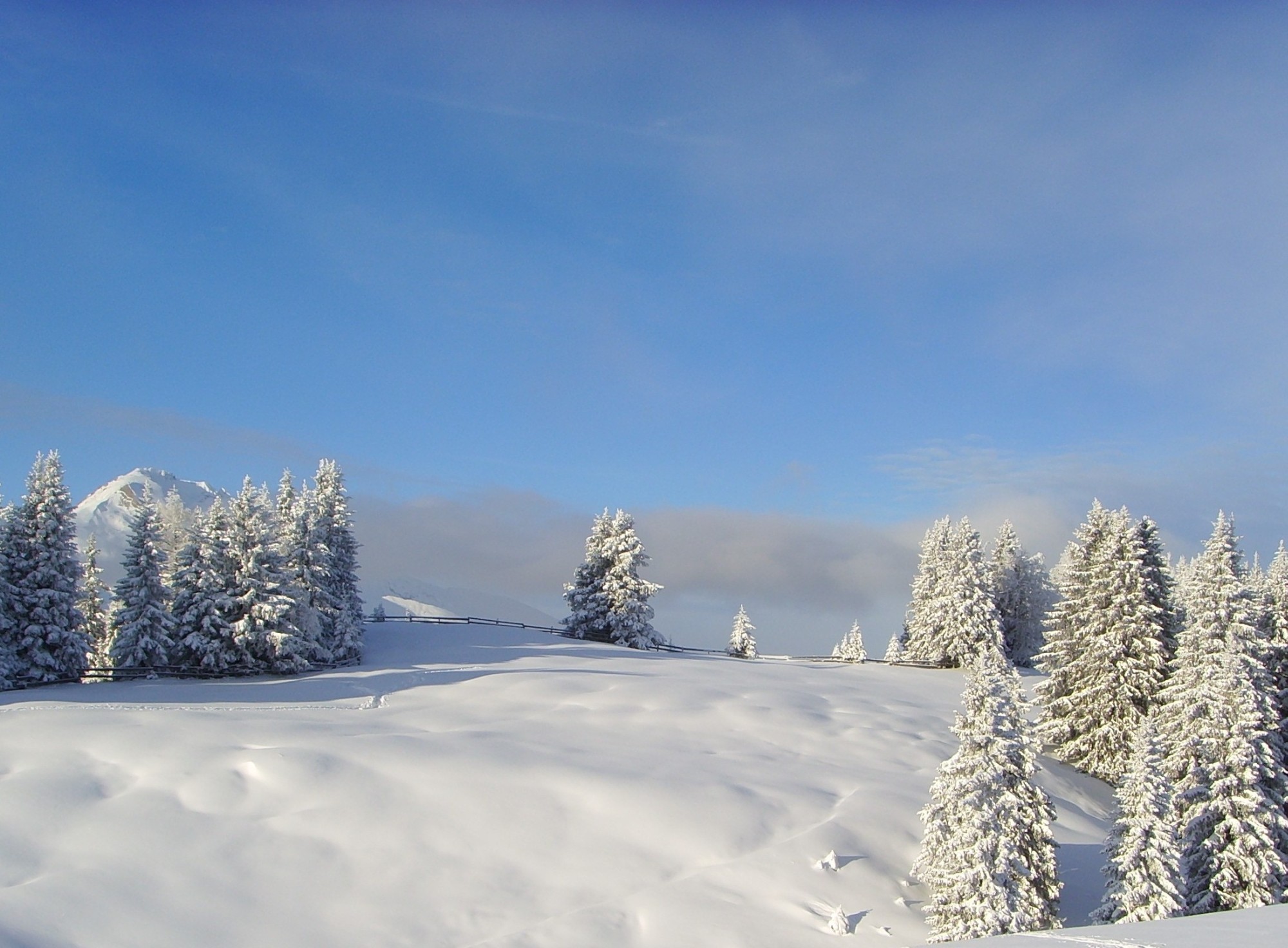 Winter landscape of brambrueesch photo
