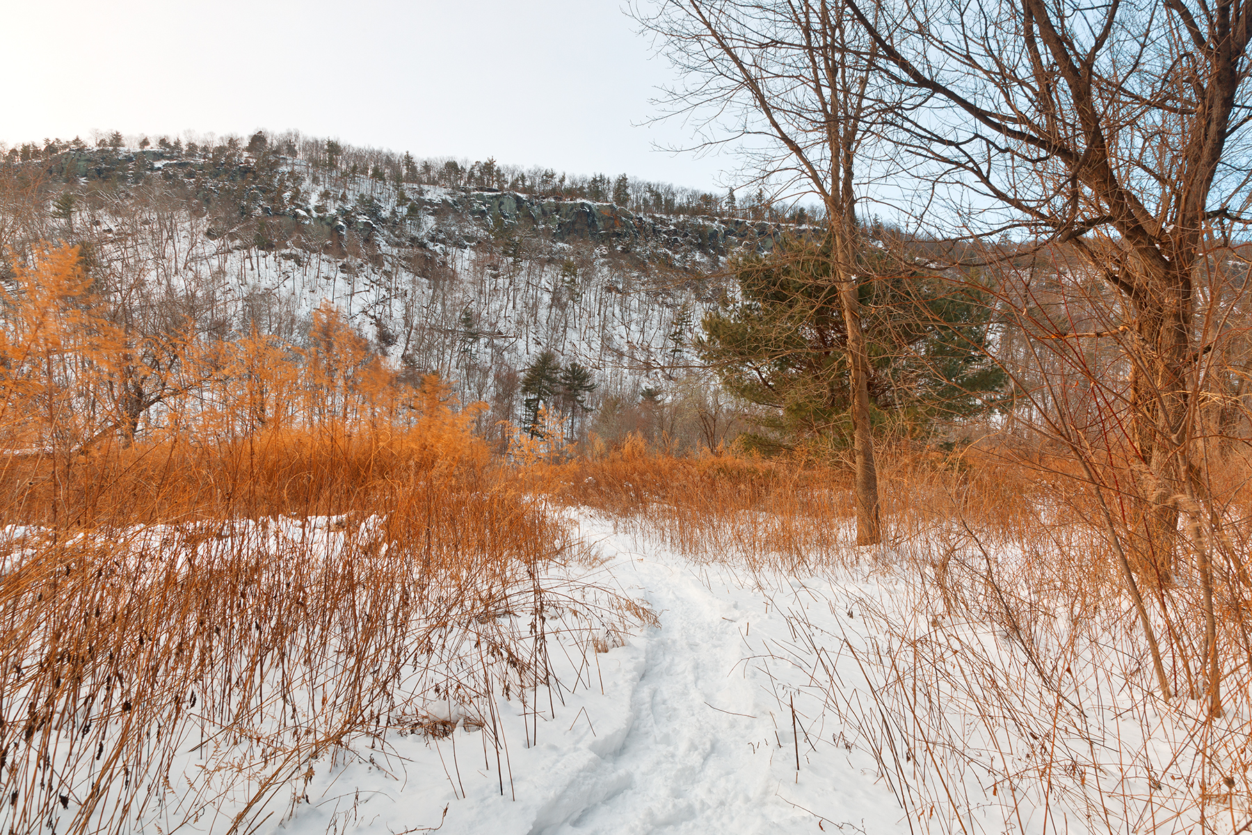 Winter McDade Trail - HDR, Adventure, Point, Shades, Shade, HQ Photo