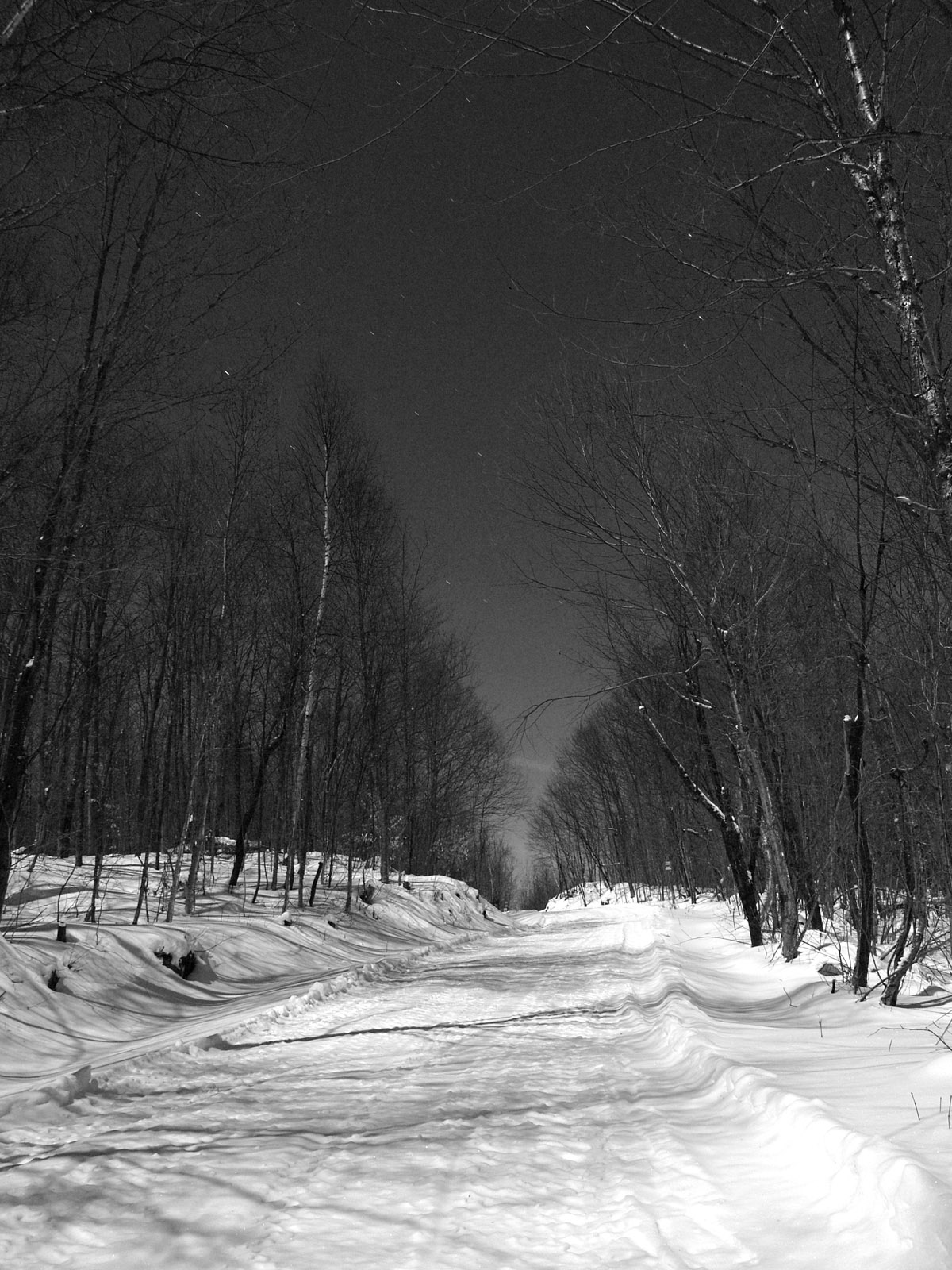 Село тени. Зима ночь. Ночной зимний лес. Ночная зима. Лютая зима.